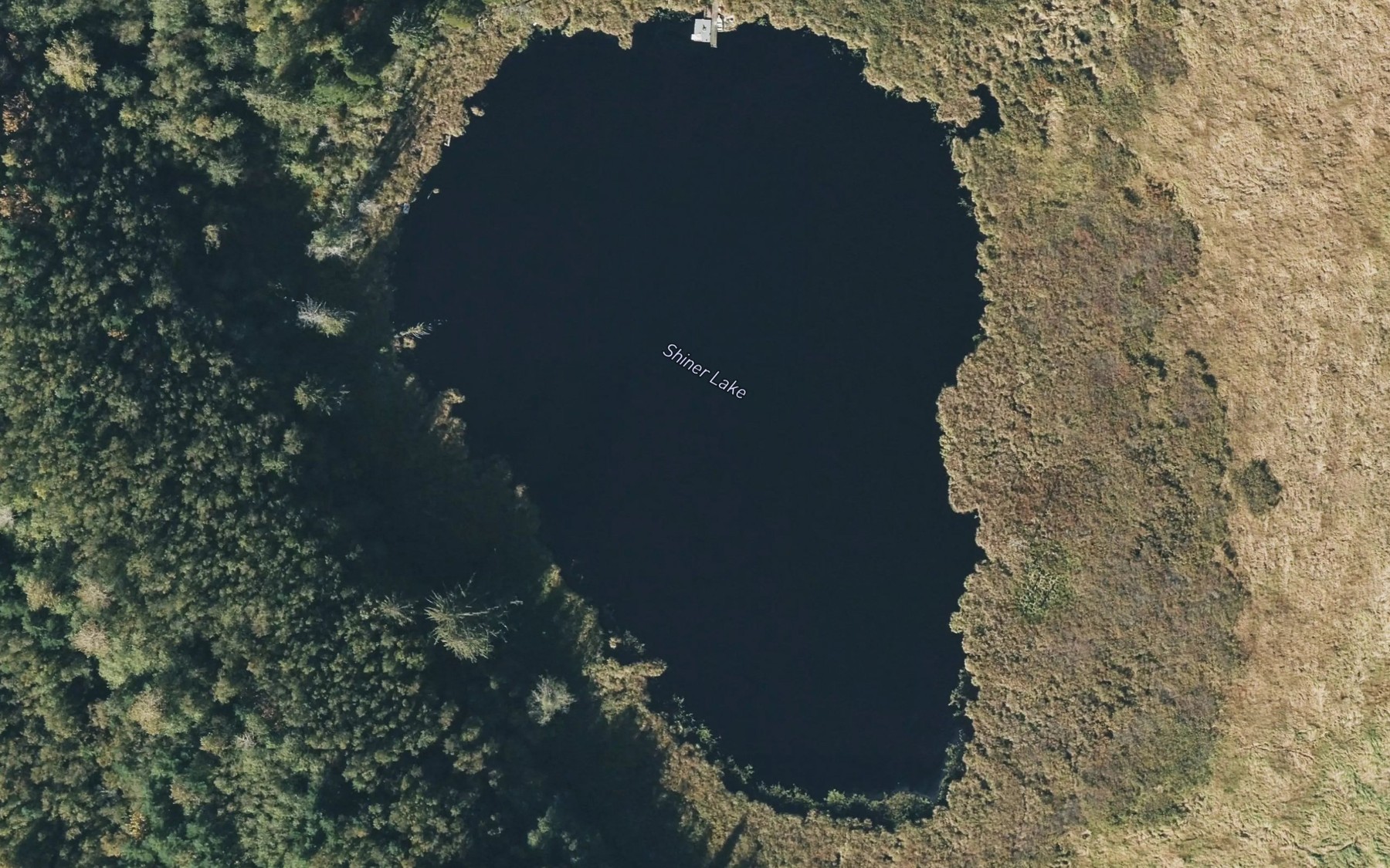 Satellite map of the Shiner Lake