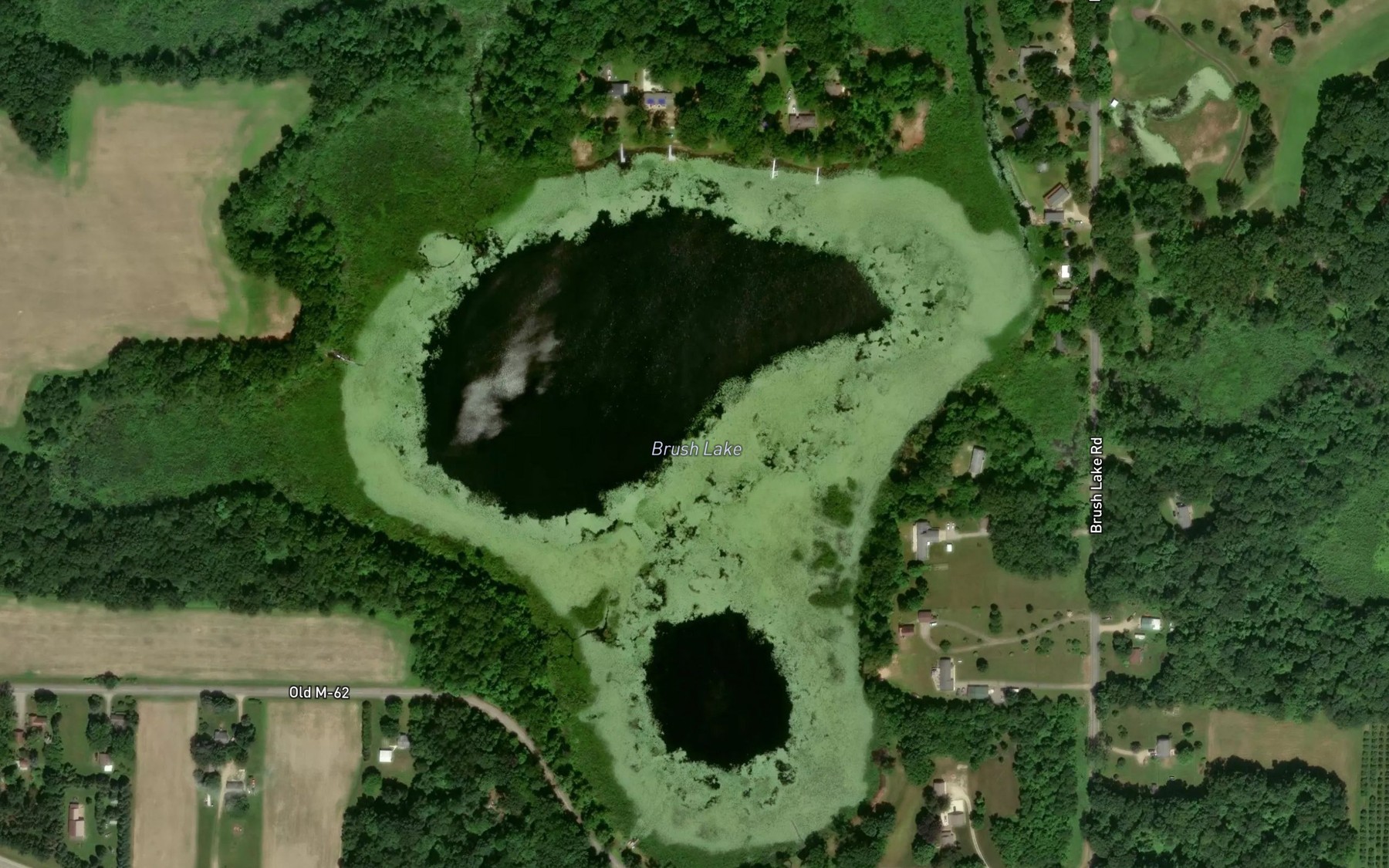 Satellite map of the Brush Lake