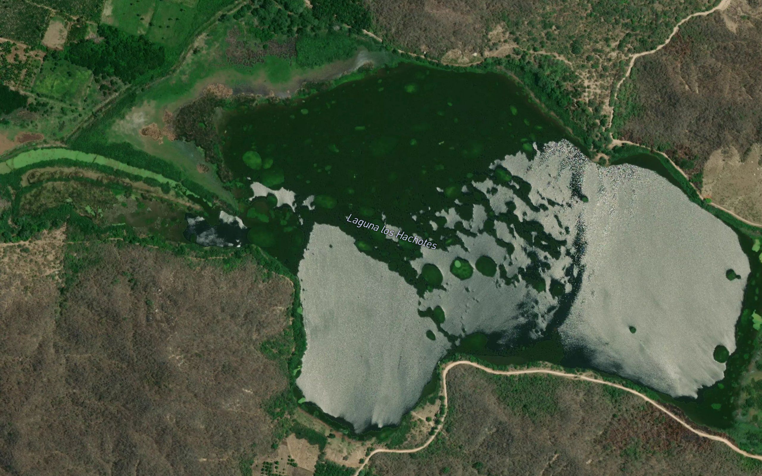 Laguna Hachotes