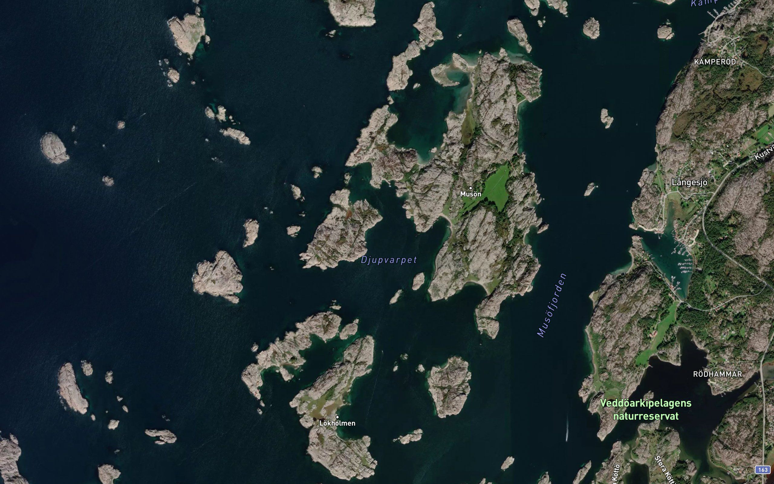 Djupvarpet