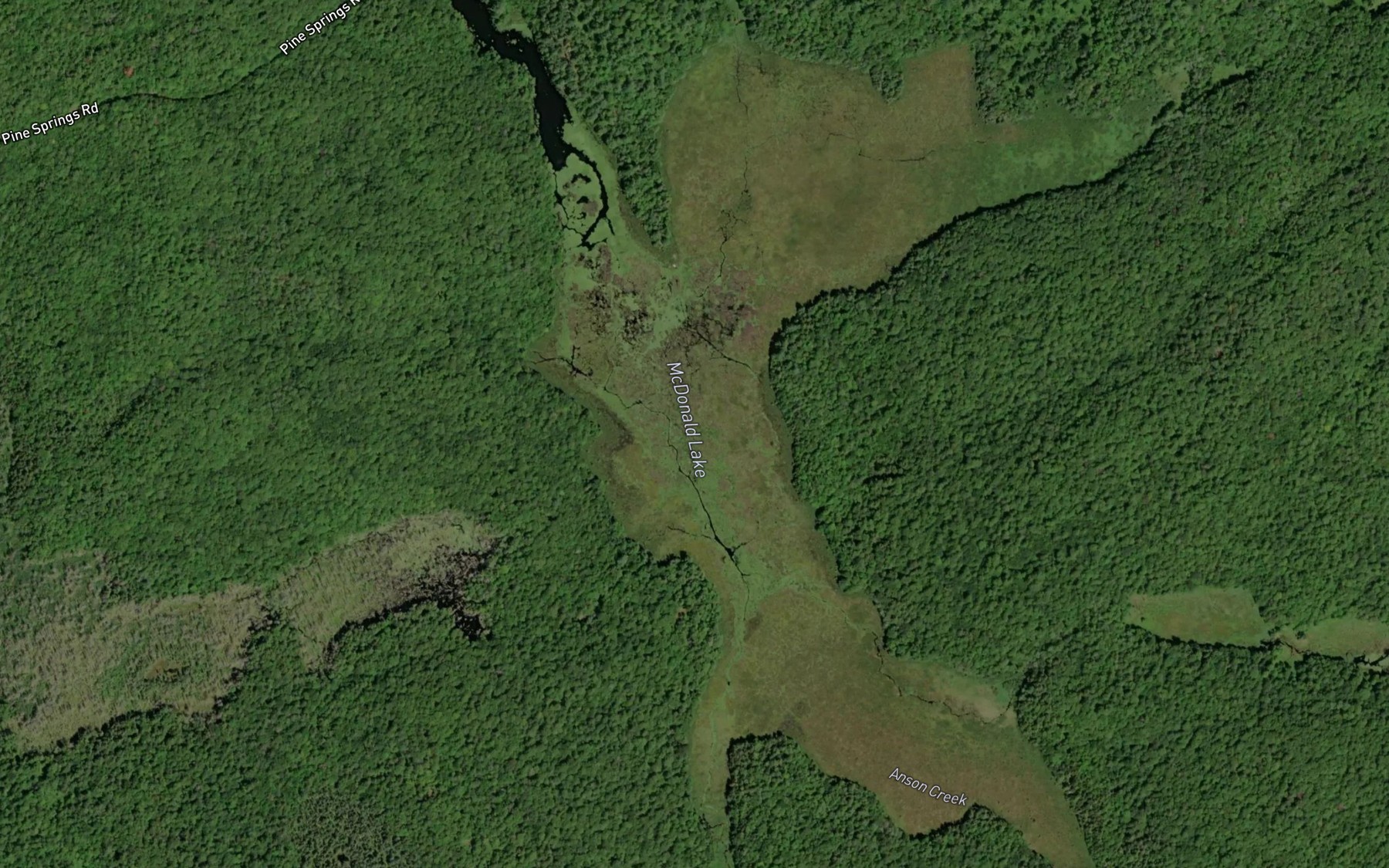 Satellite map of the McDonald Lake