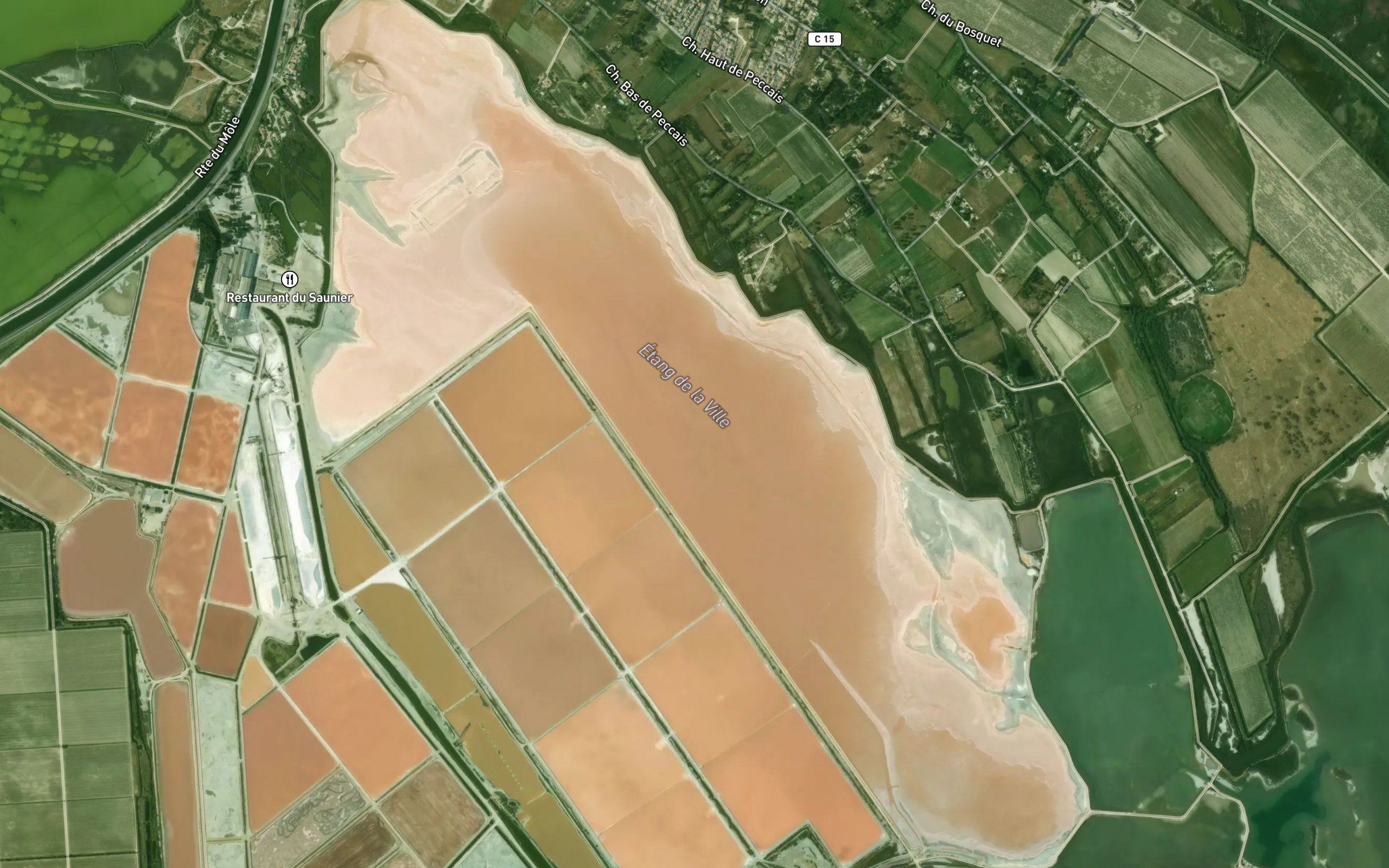 Etang de la Ville