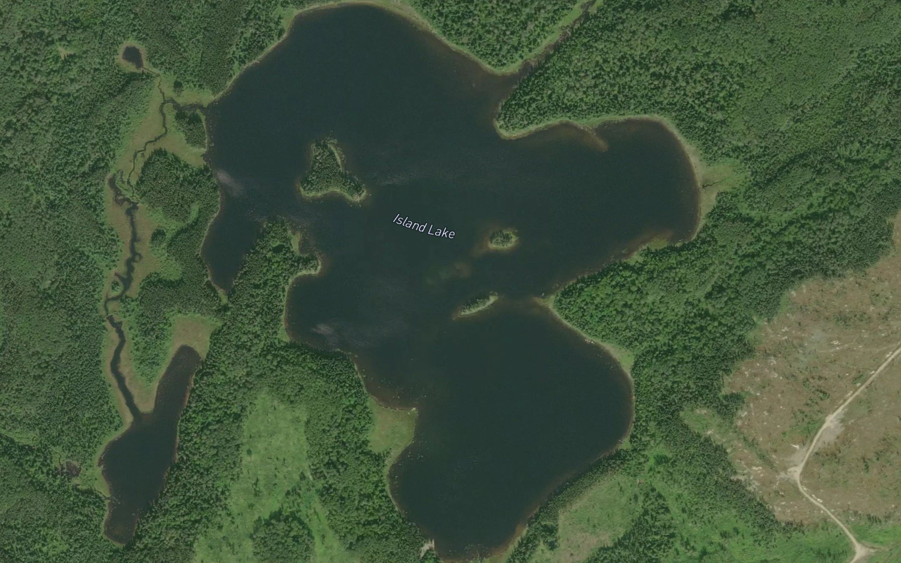 Satellite map of the Island Lake