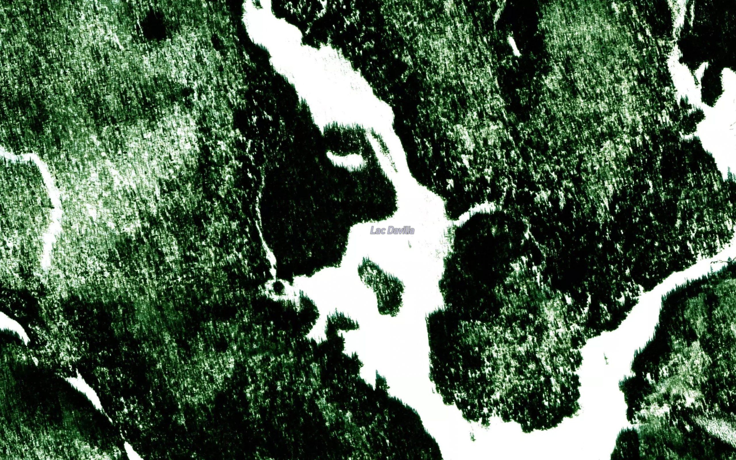 Lac Davilia