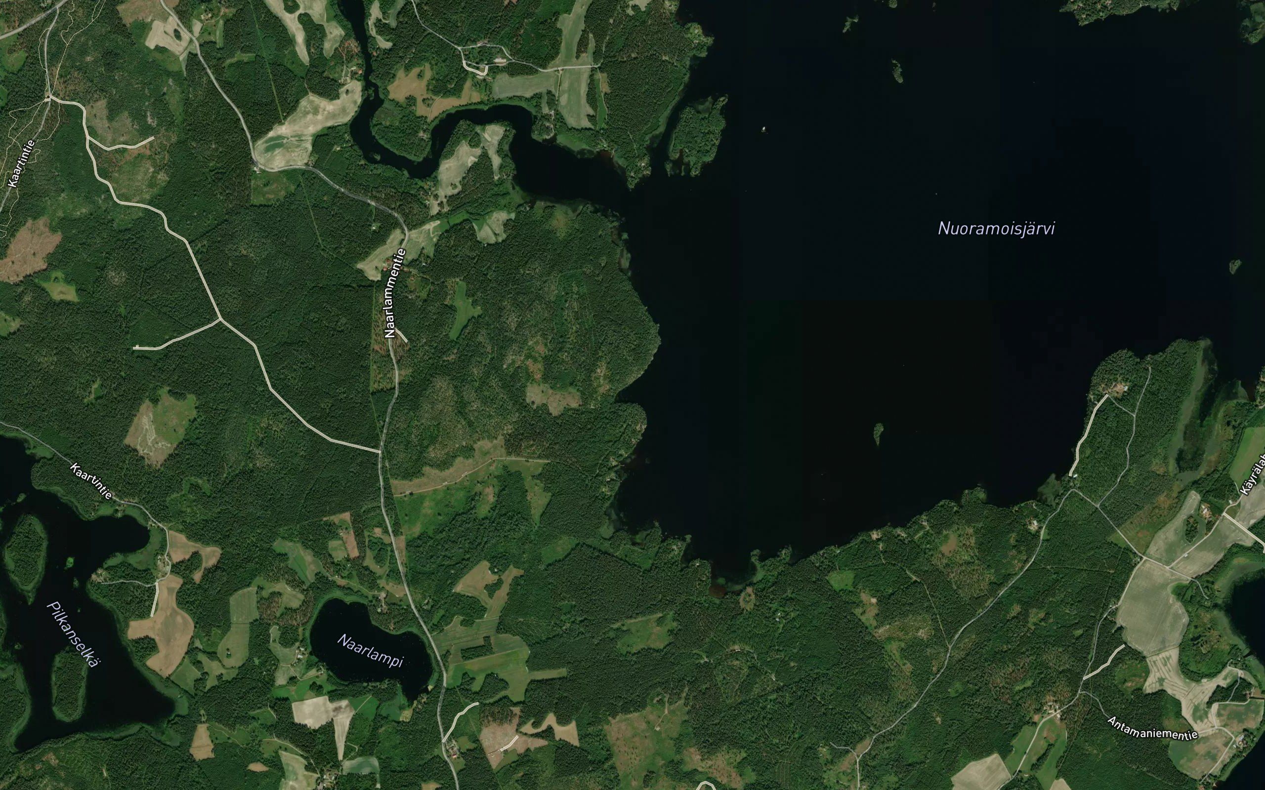 Syvansilmanlahti