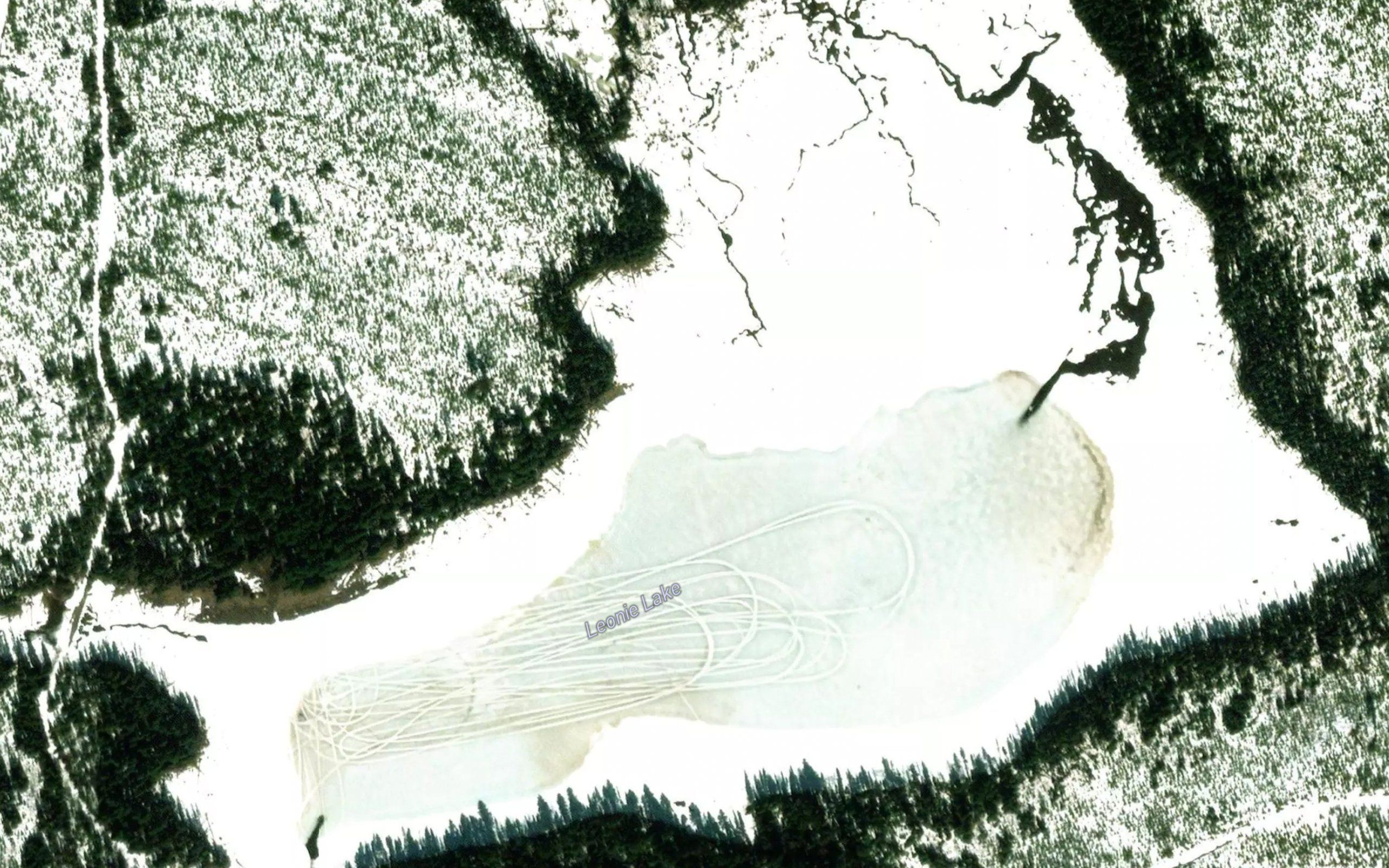 Leonie Lake