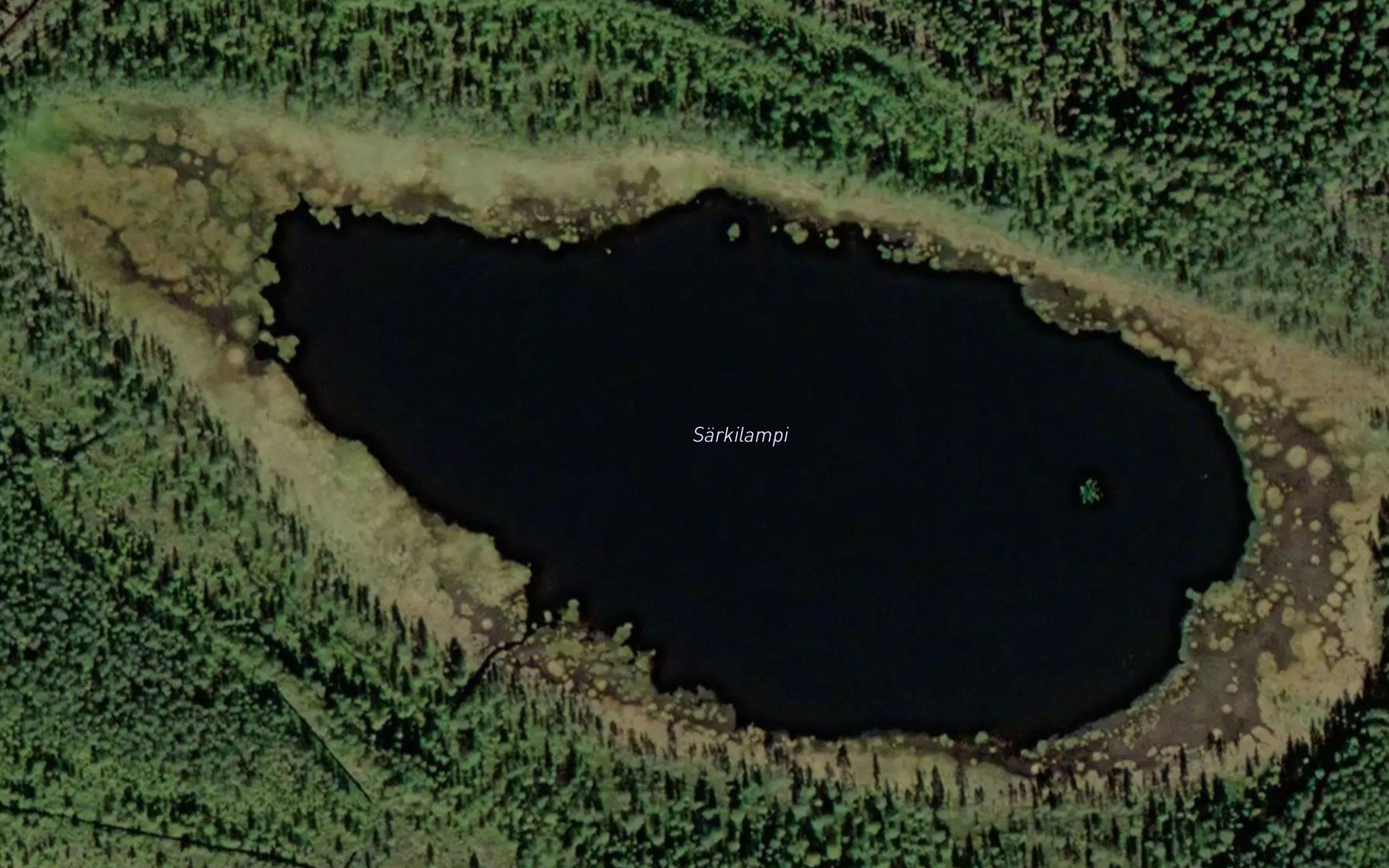 Sarkilampi