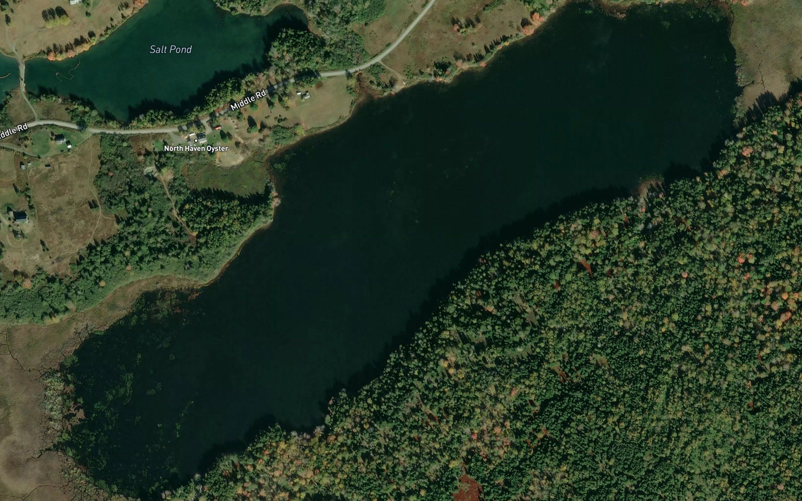 Fresh Pond