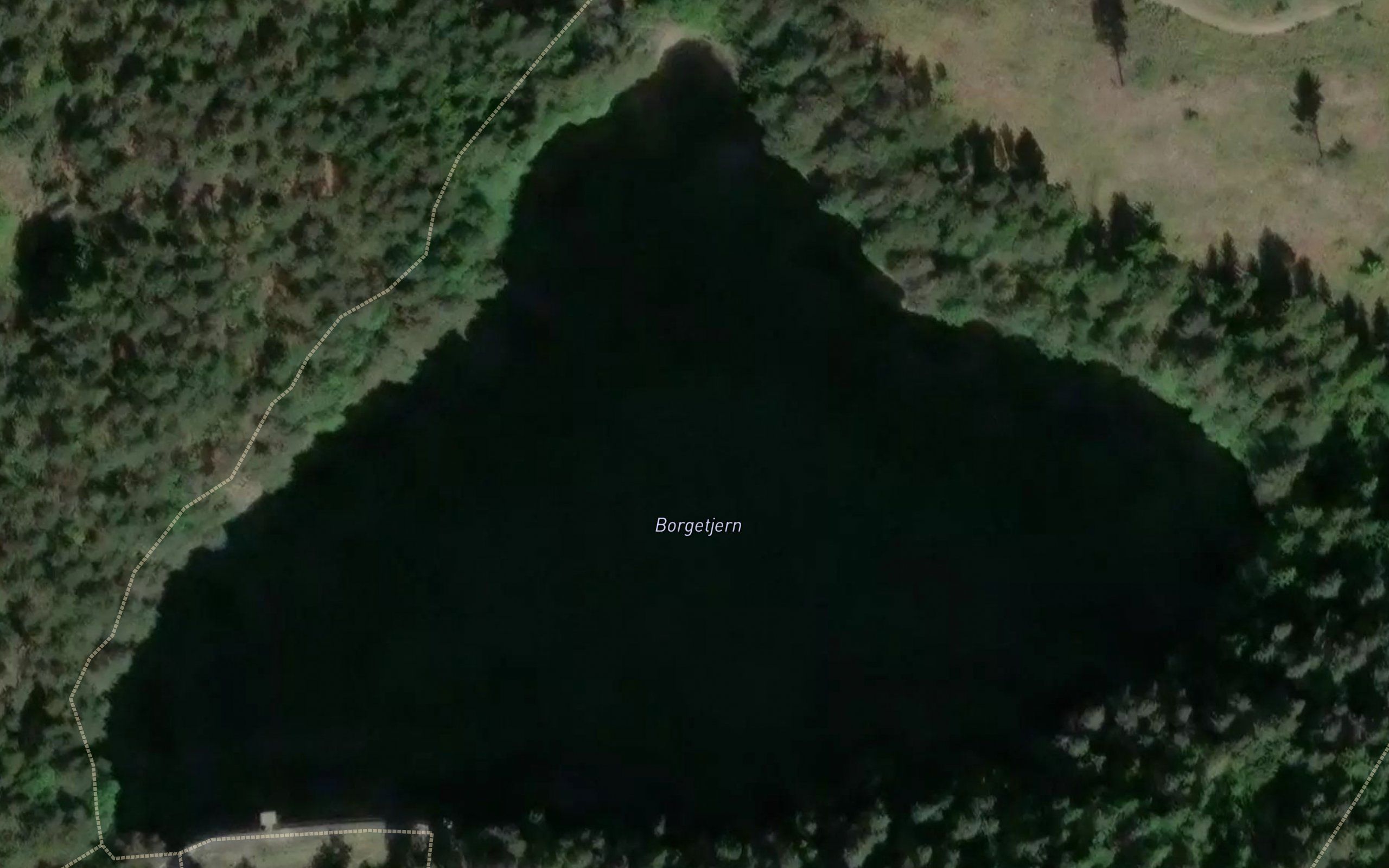 Borgetjern