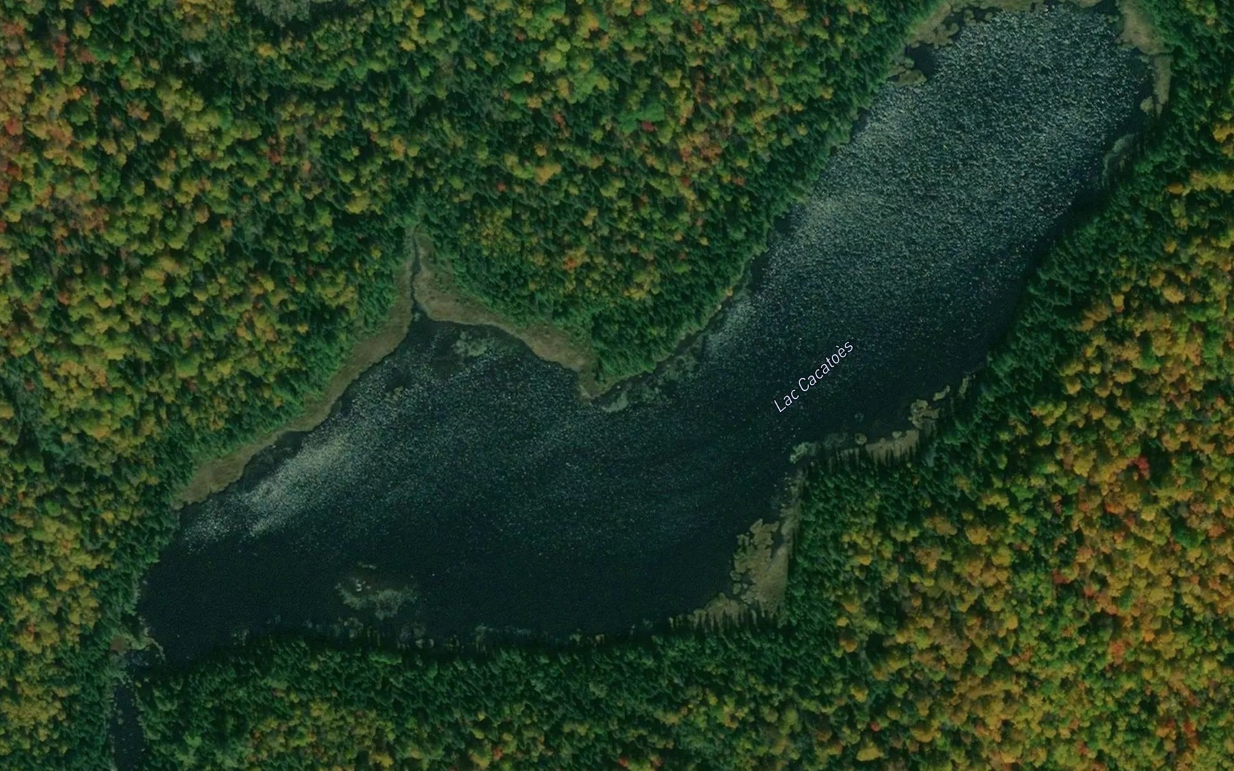Satellite map of the Lac Cacatoes