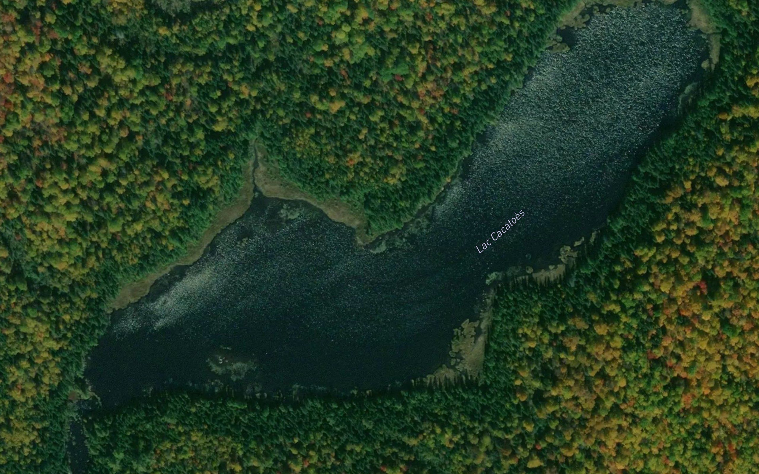 Lac Cacatoes