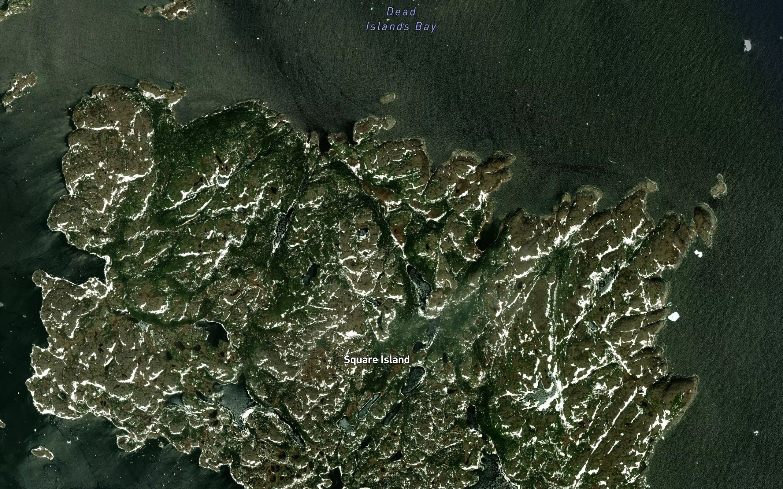 Bar Cove