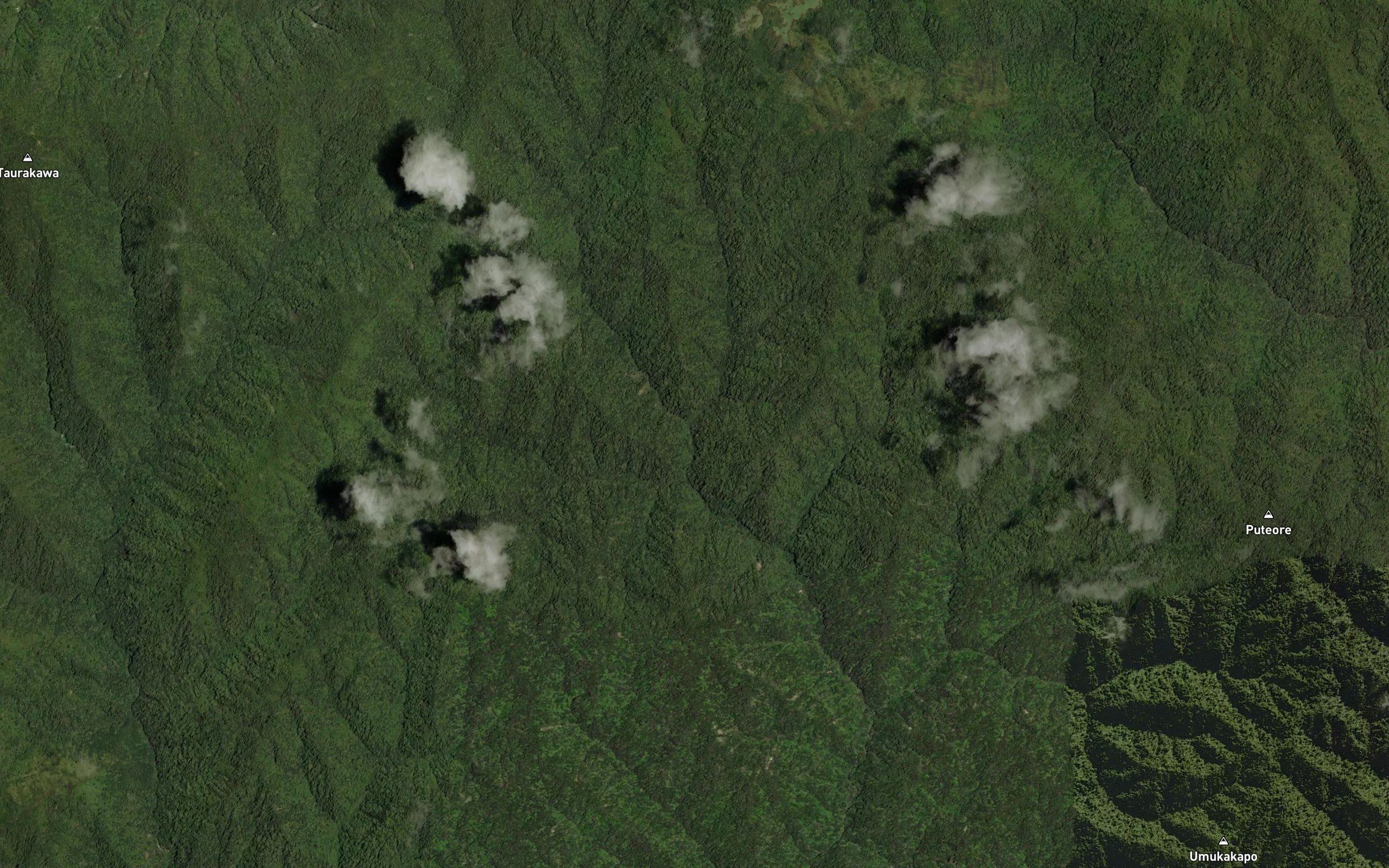 Pungarehunui Stream