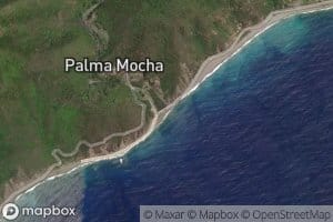 Rio Palma Mocha