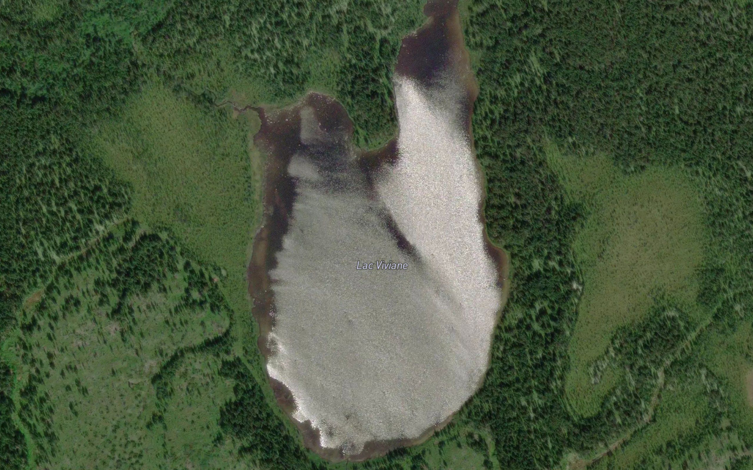 Lac Viviane
