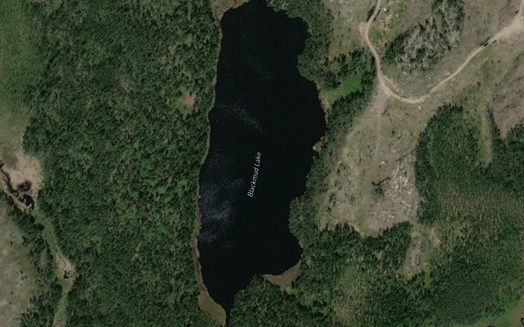 Satellite map of the Blackmud Lake