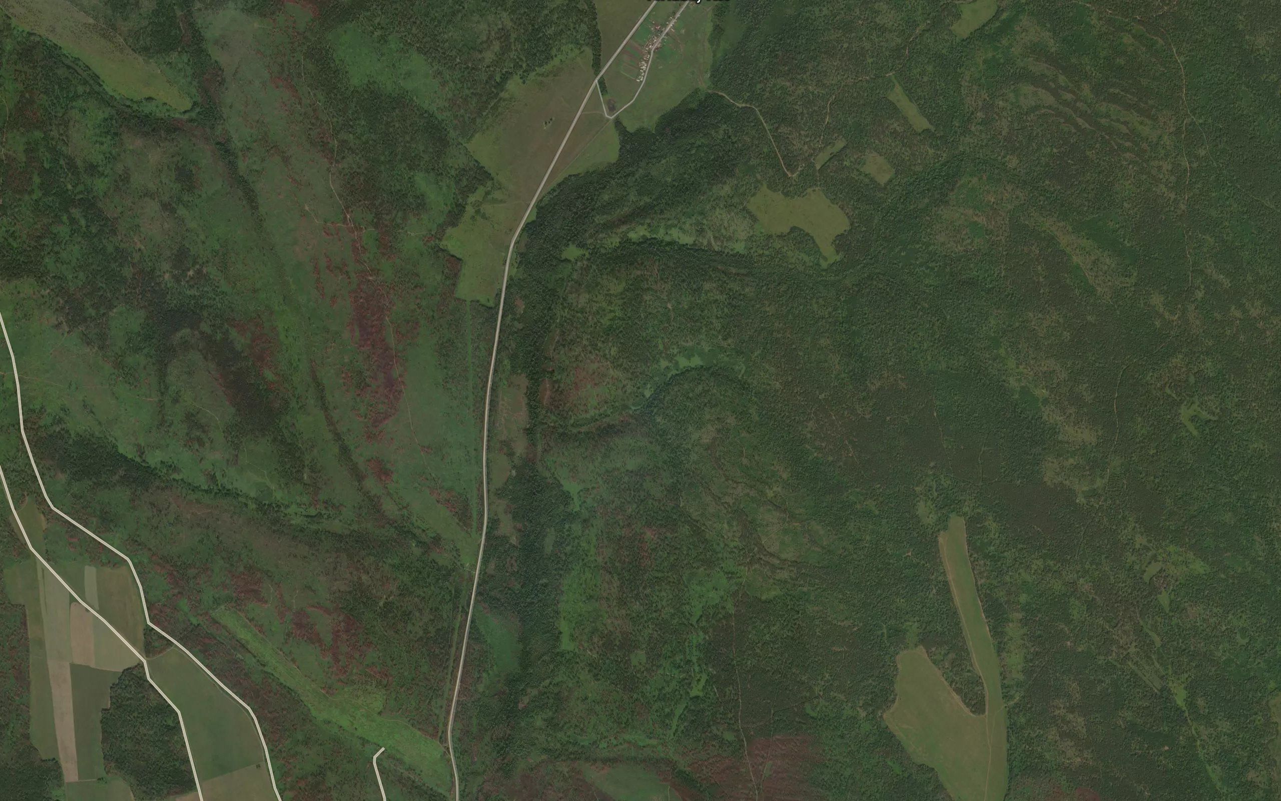 Pad' Zabkhonka