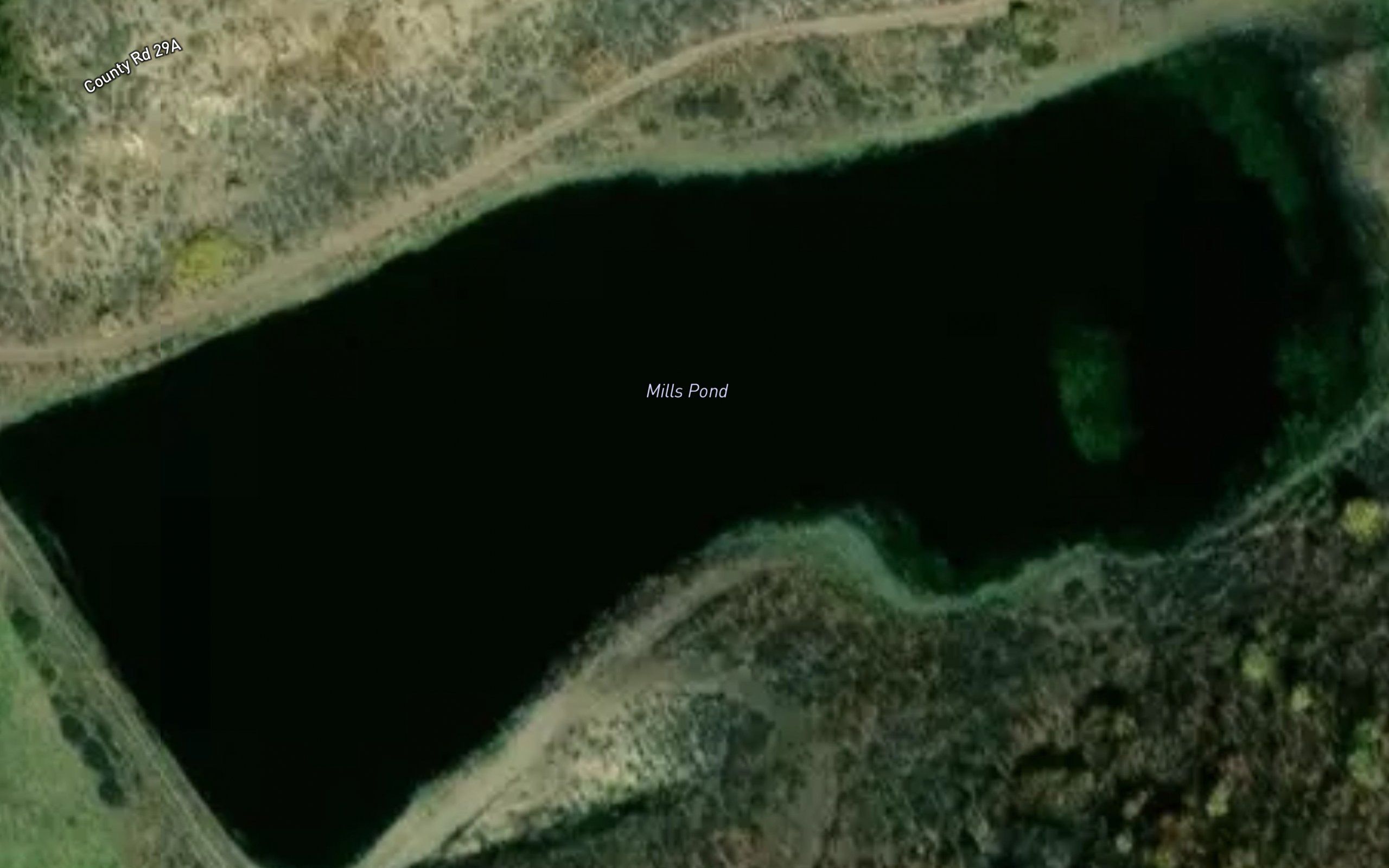 Mills Pond