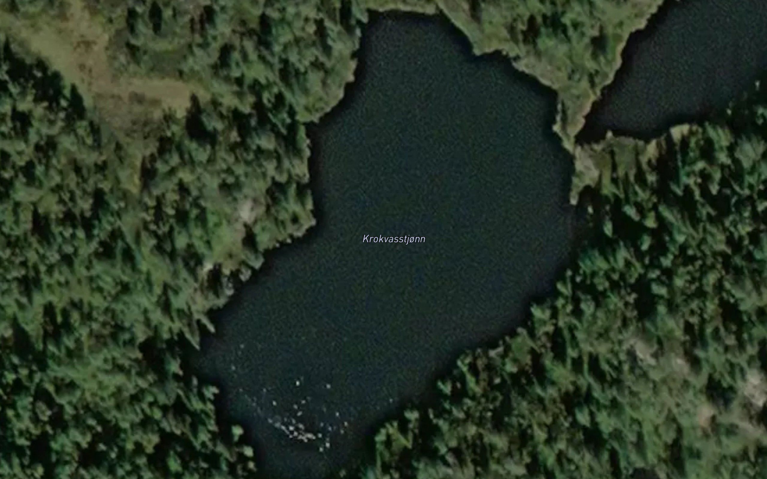 Krokvasstjonn
