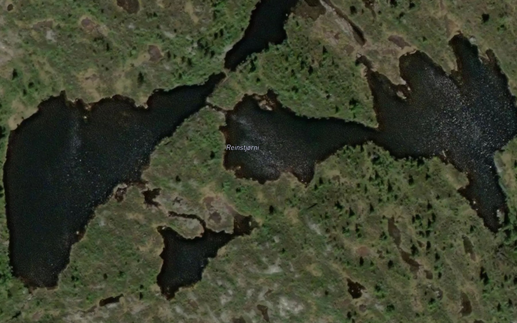 Satellite map of the Reinstjorn