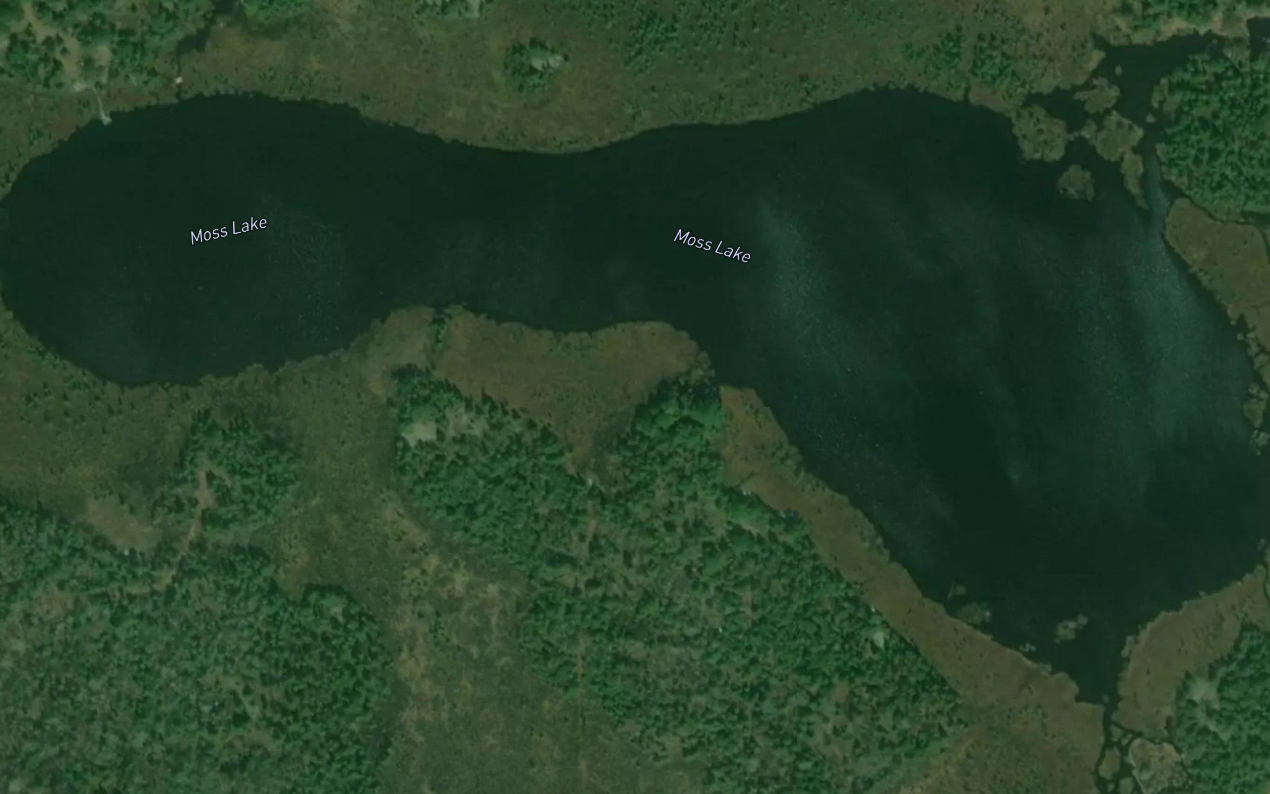 Moss Lake