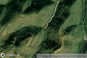 Bear Branch