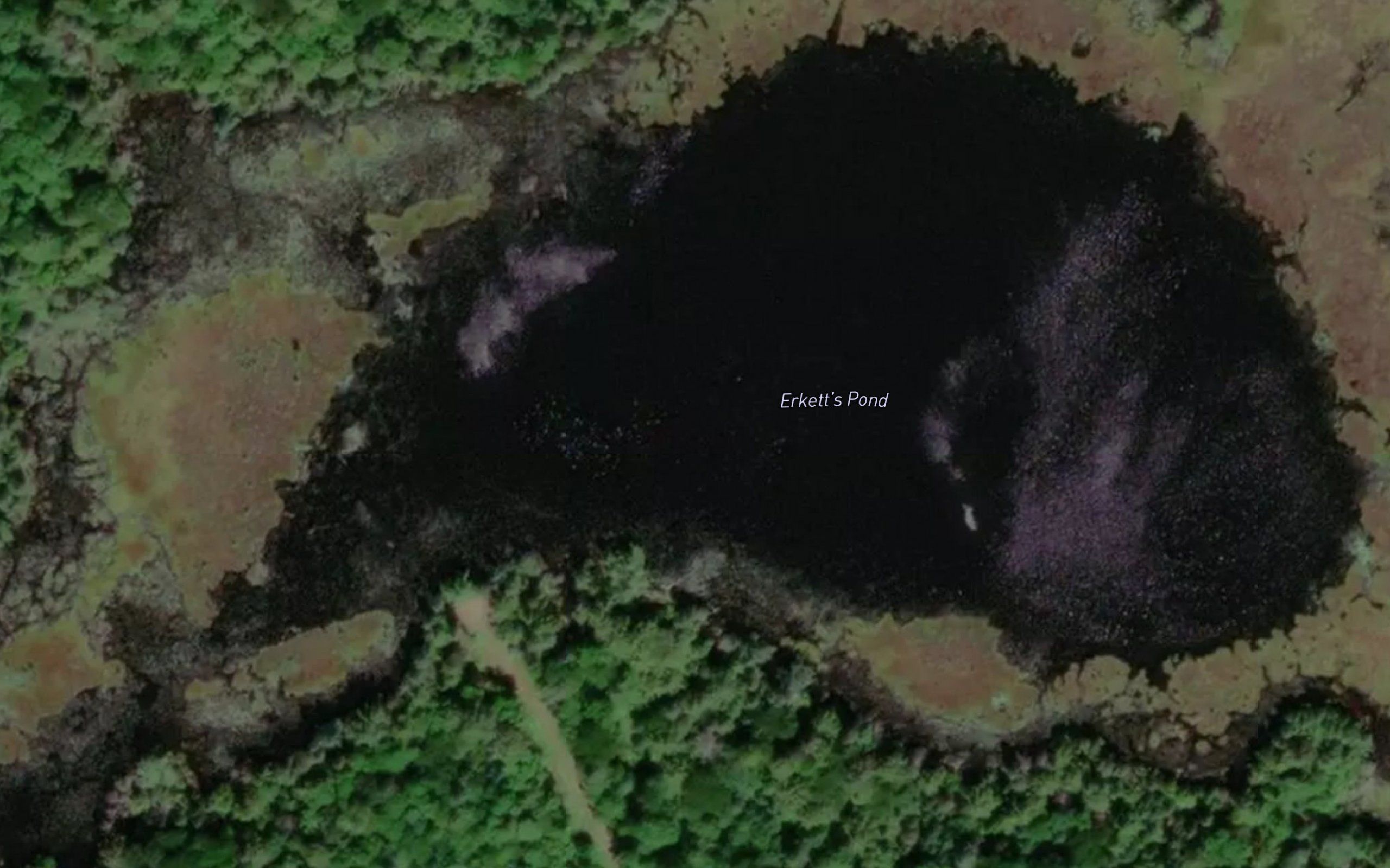 Erkett's Pond