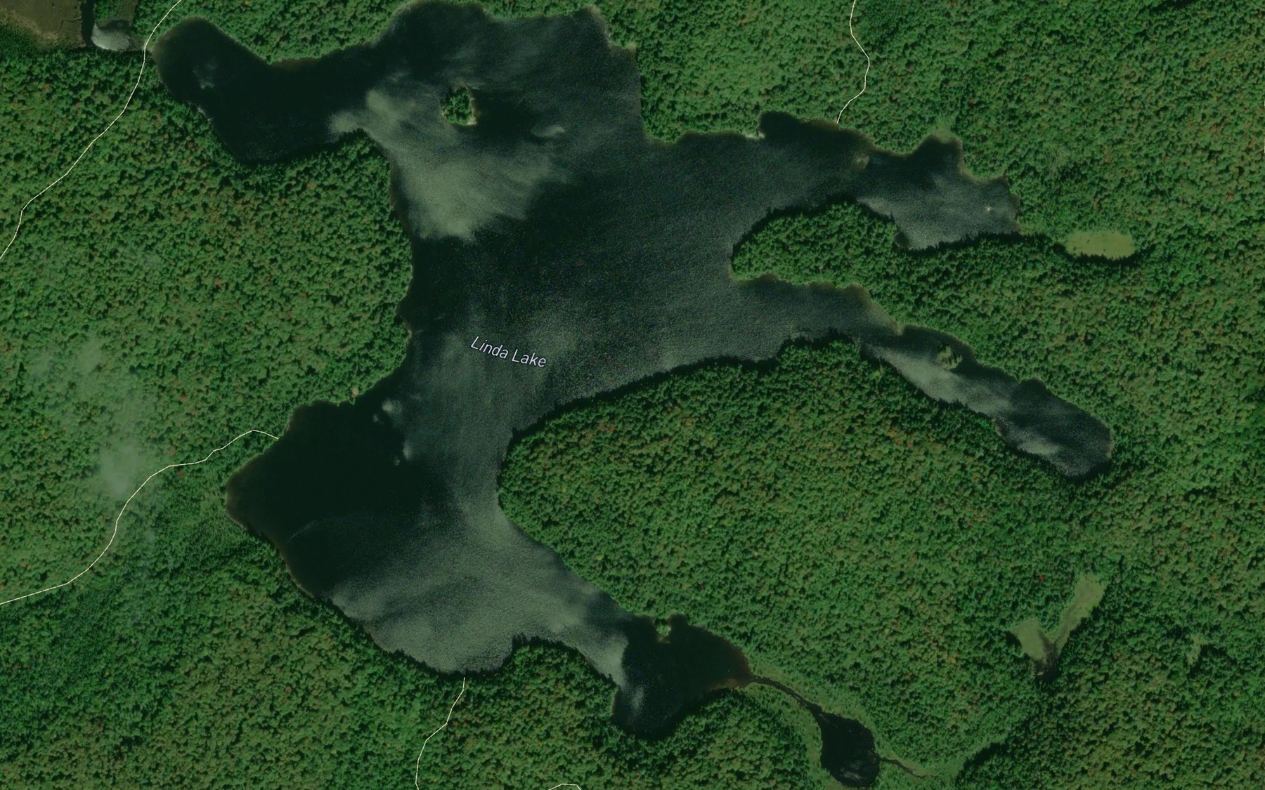 Satellite map of the Linda Lake