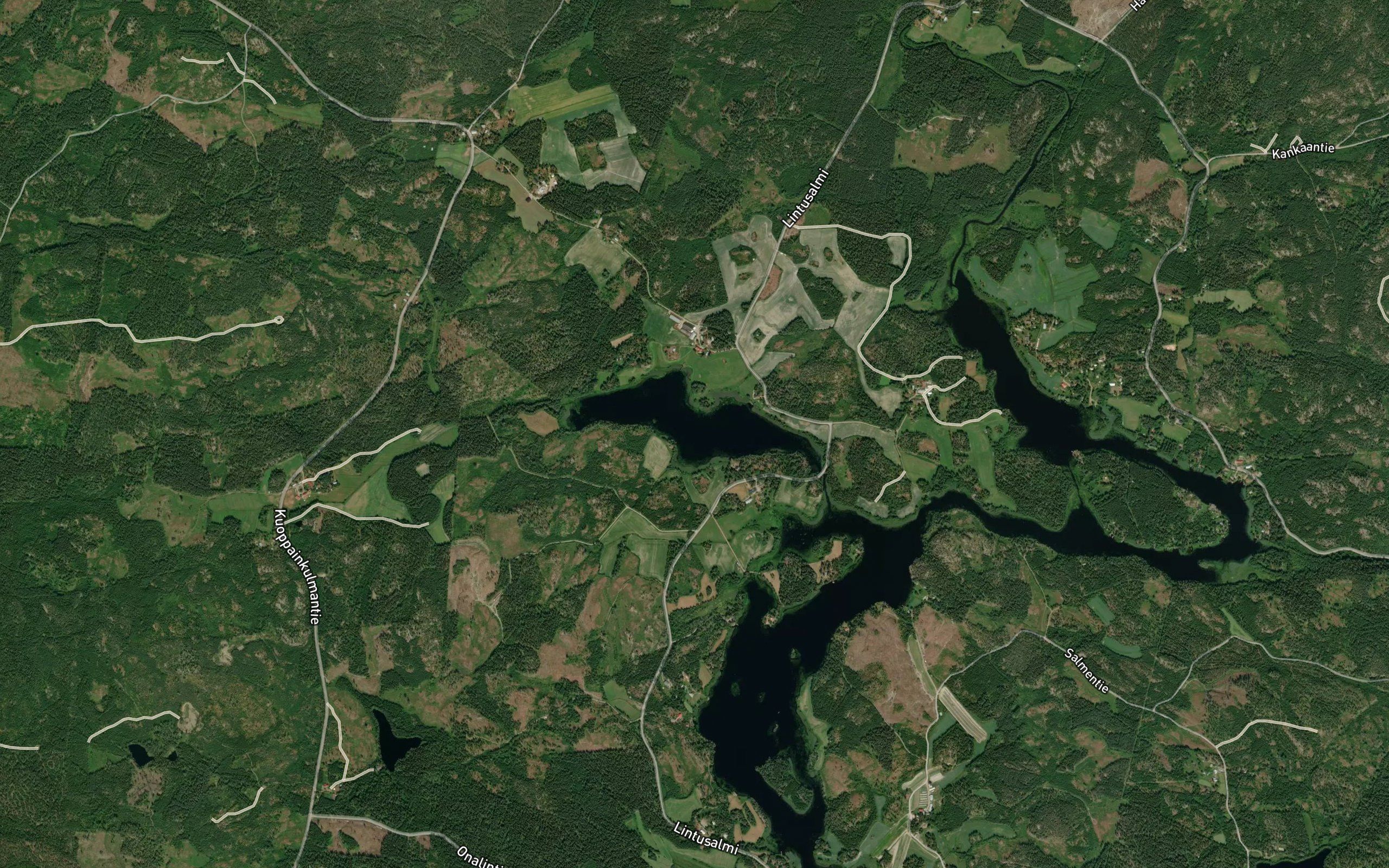 Lintulahti