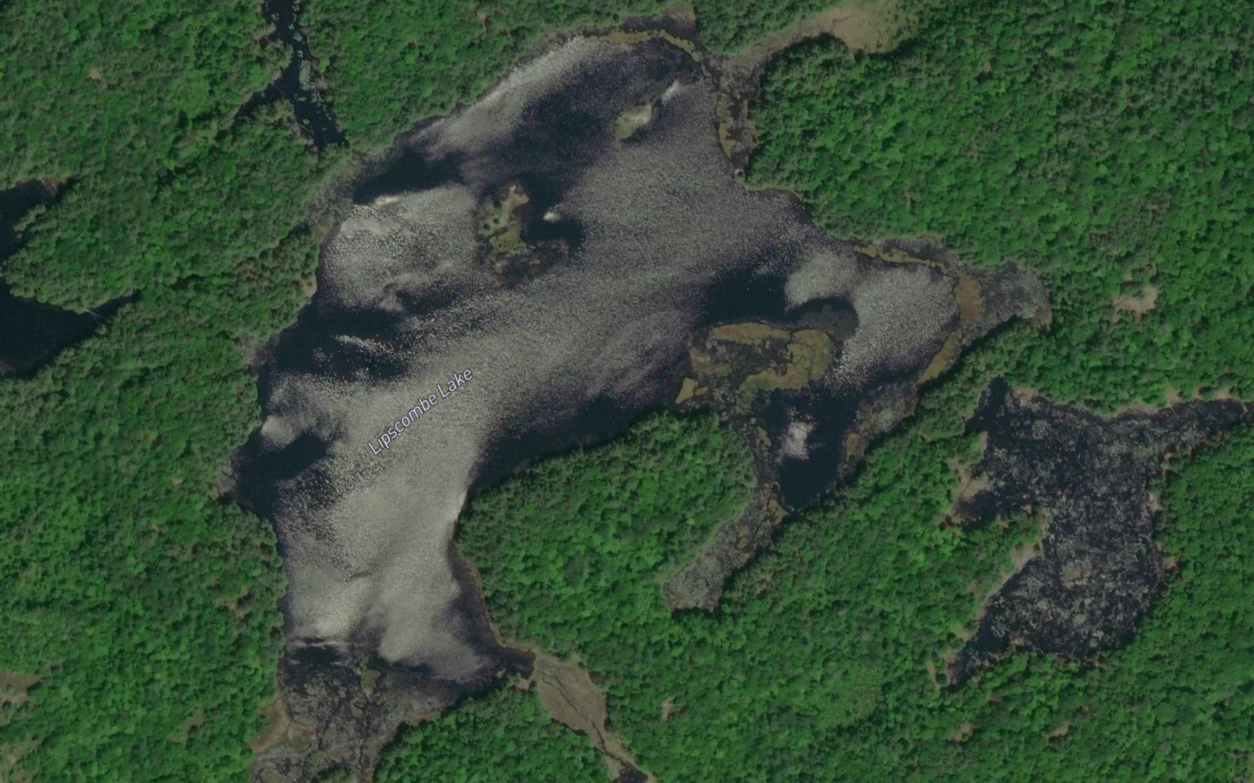 Satellite map of the Lipscombe Lake