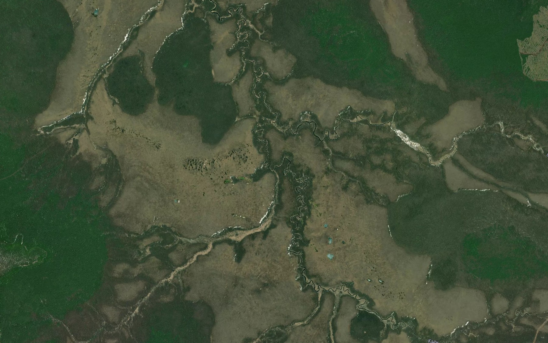 Satellite map of the Rozovyy