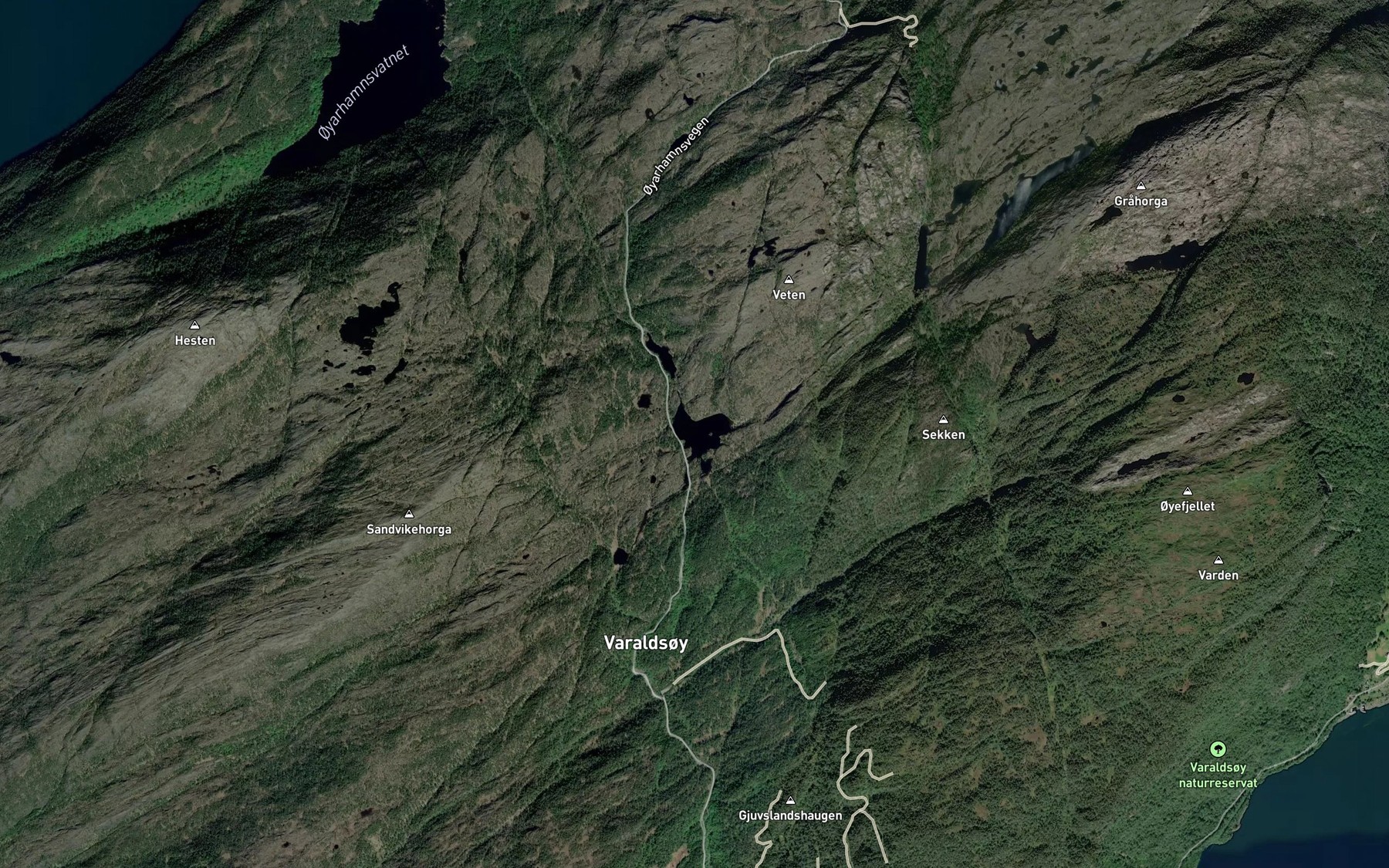 Satellite map of the Svartavatnet,stora