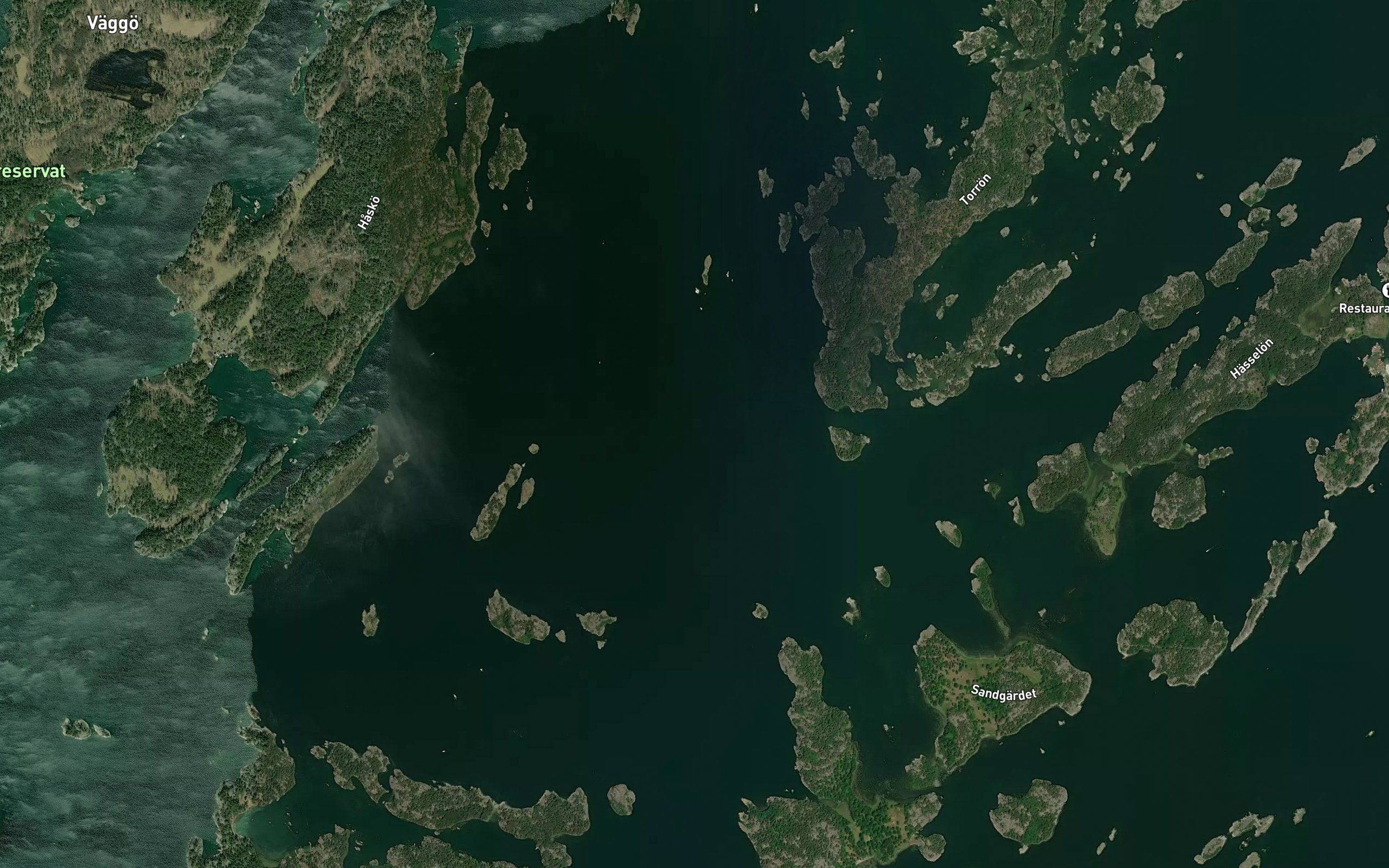 Sasfjarden