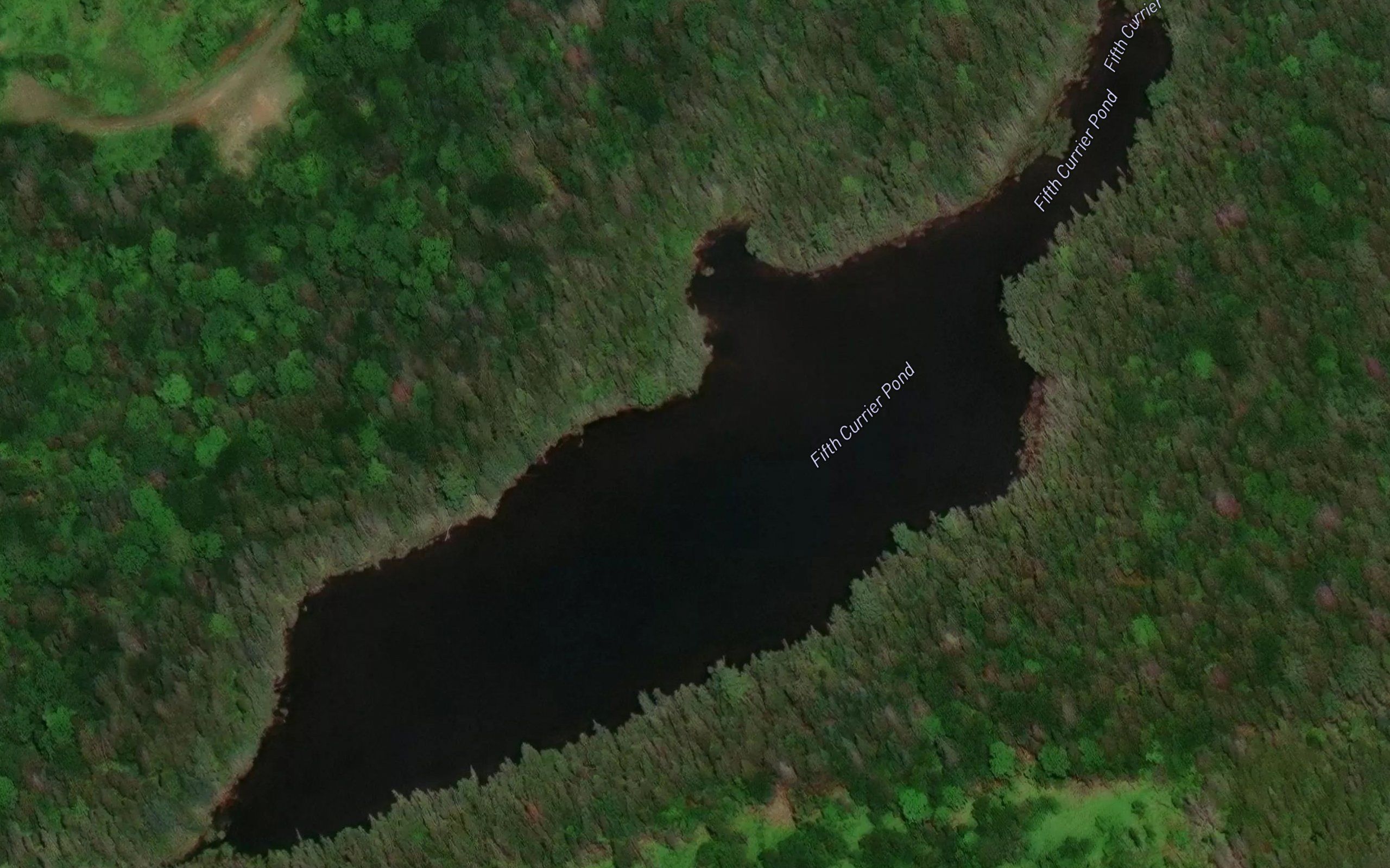 Fifth Currier Pond