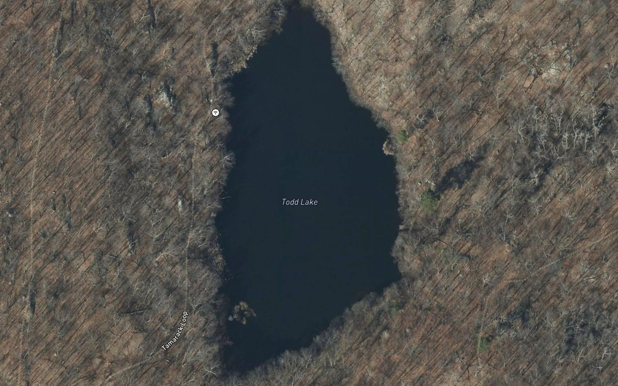 Todd Lake