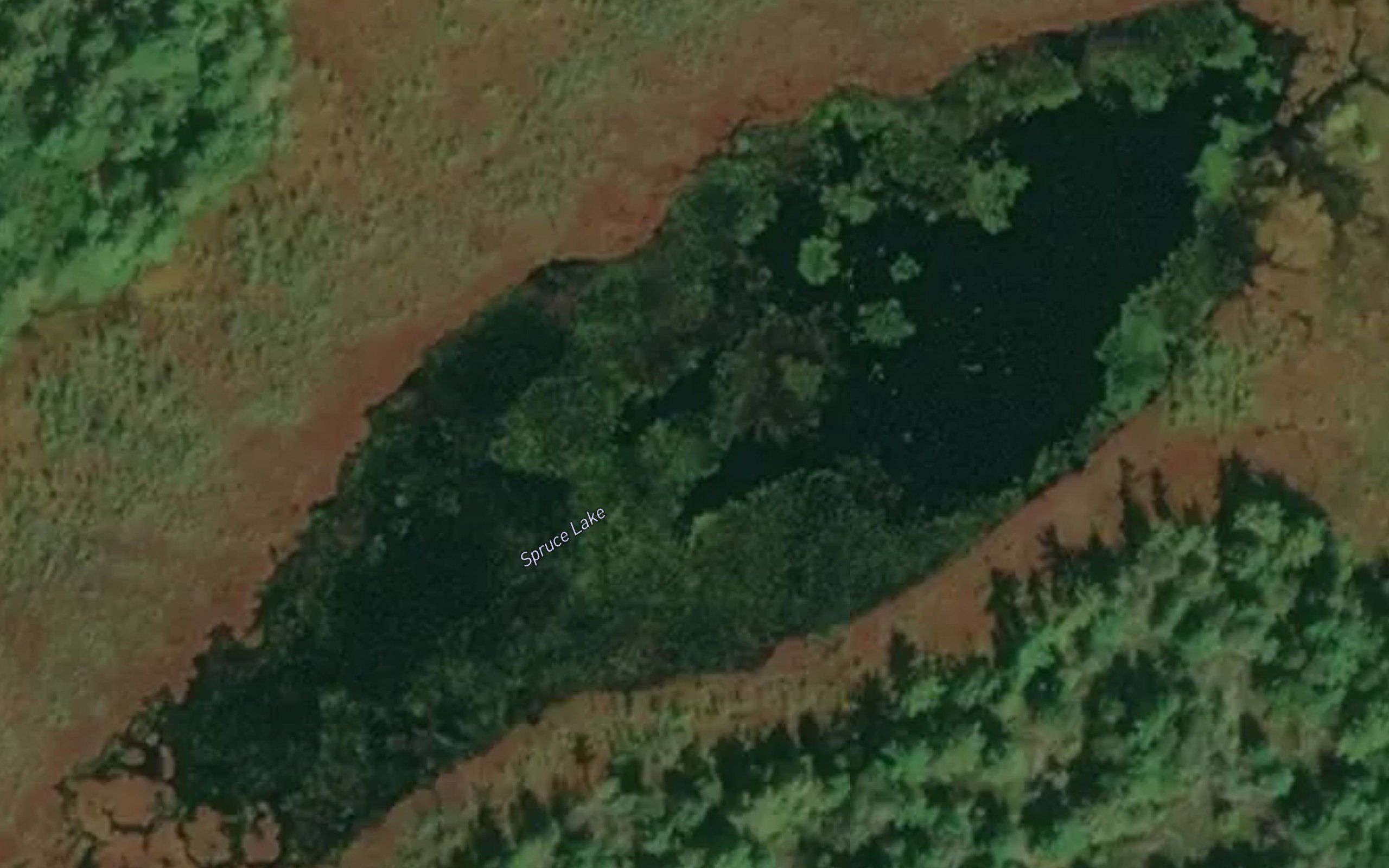 Spruce Lake
