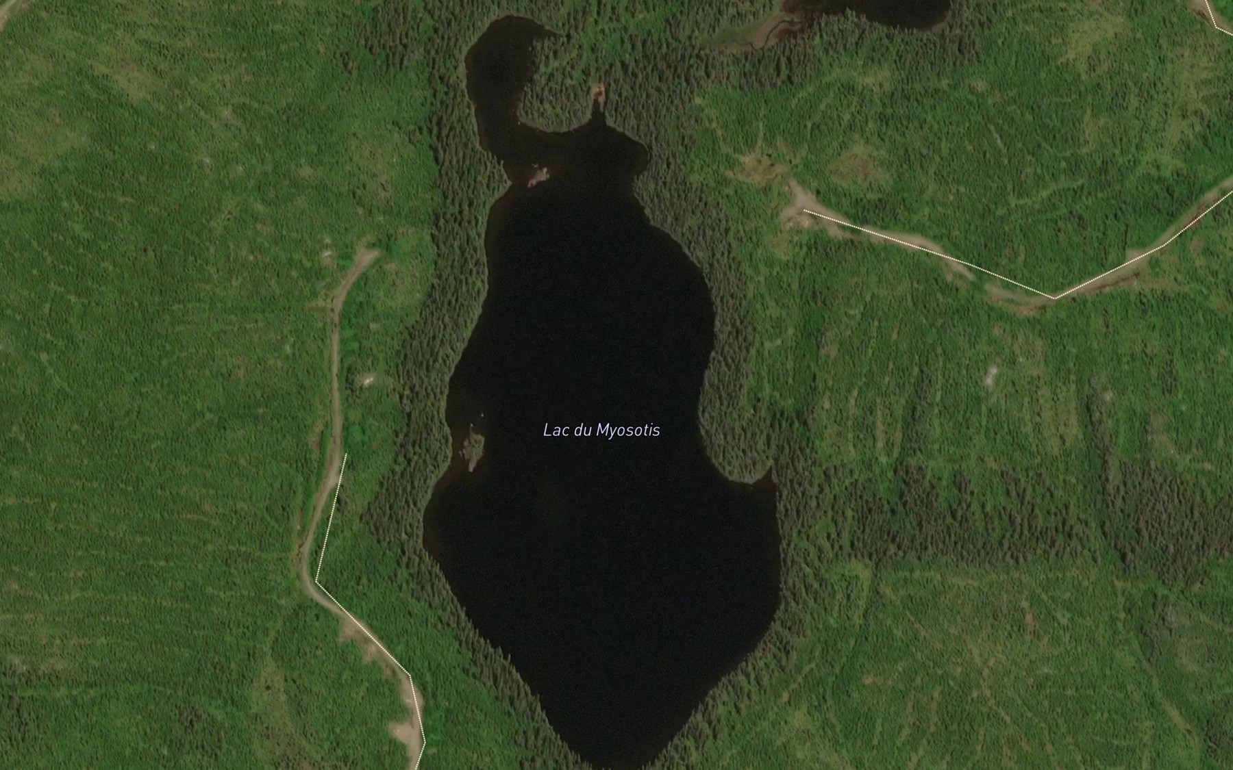 Satellite map of the Lac du Myosotis