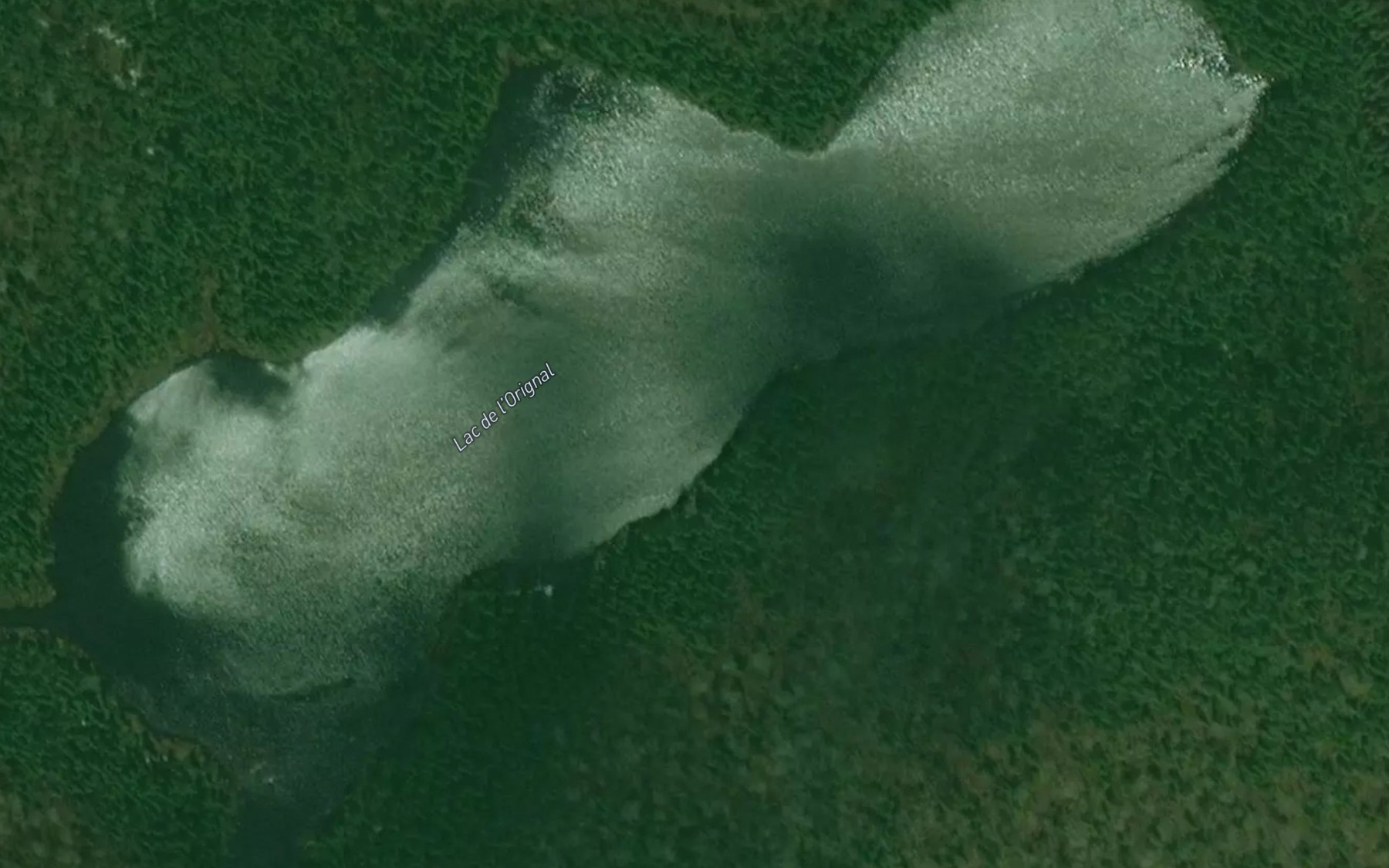 Satellite map of the Lac de l'Orignal