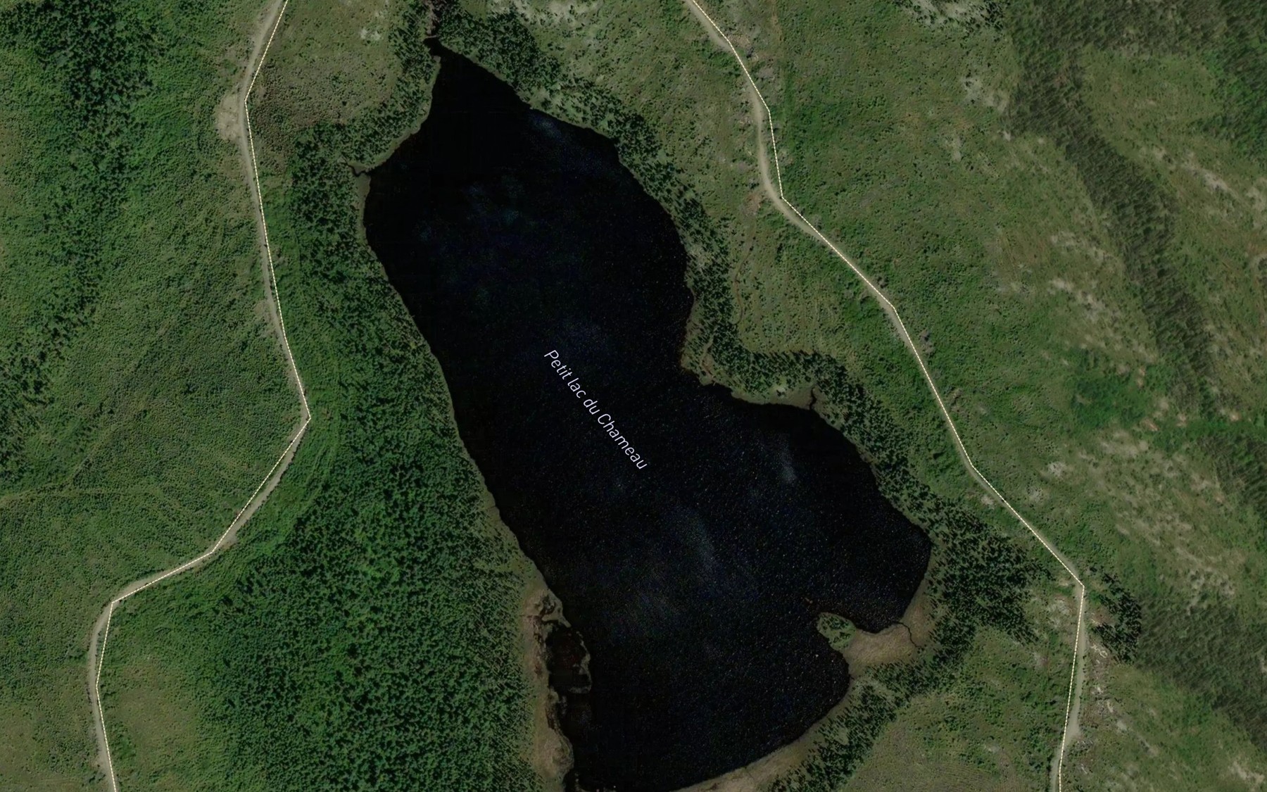 Satellite map of the Petit lac du Chameau