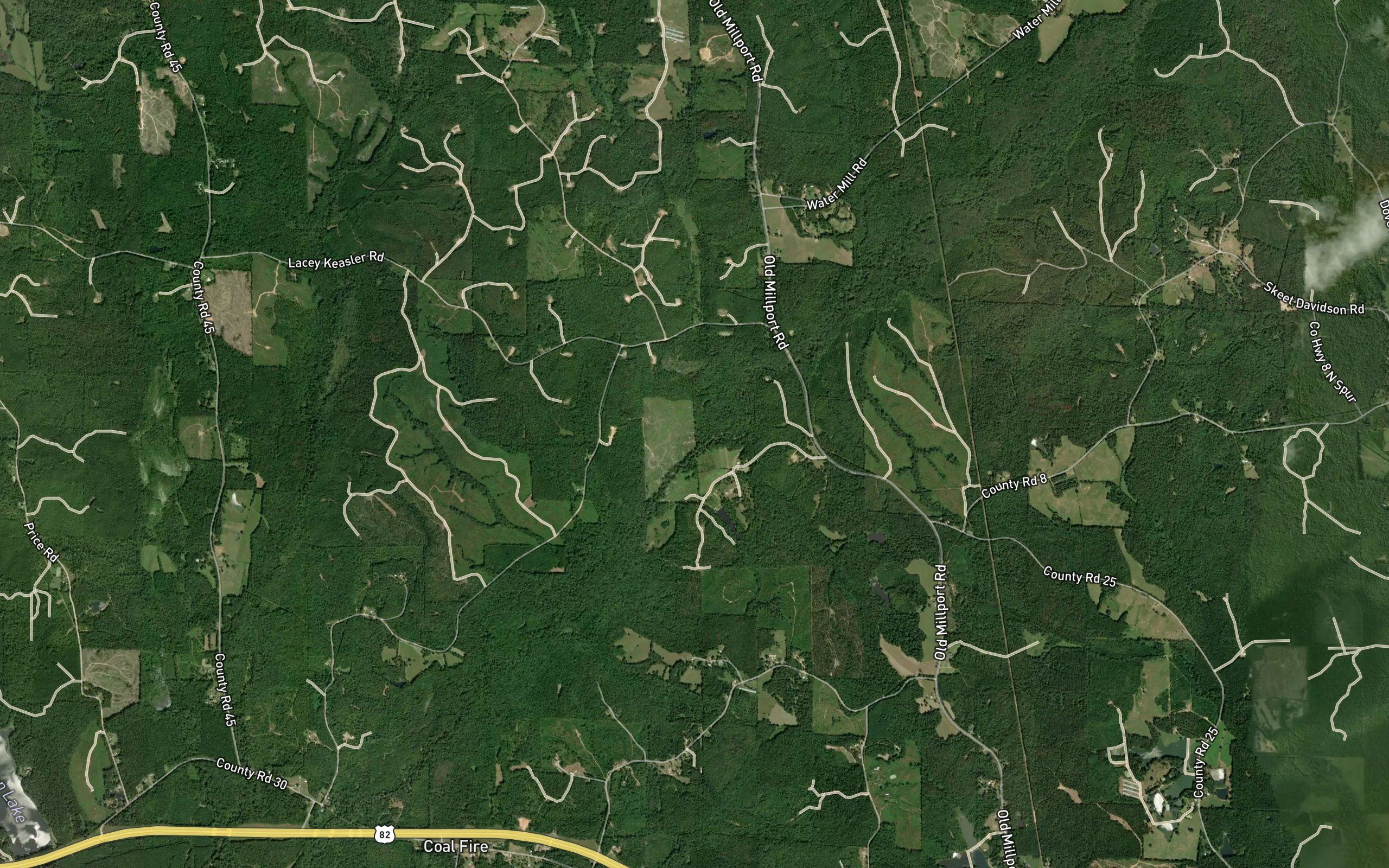 Chicken Swamp Branch
