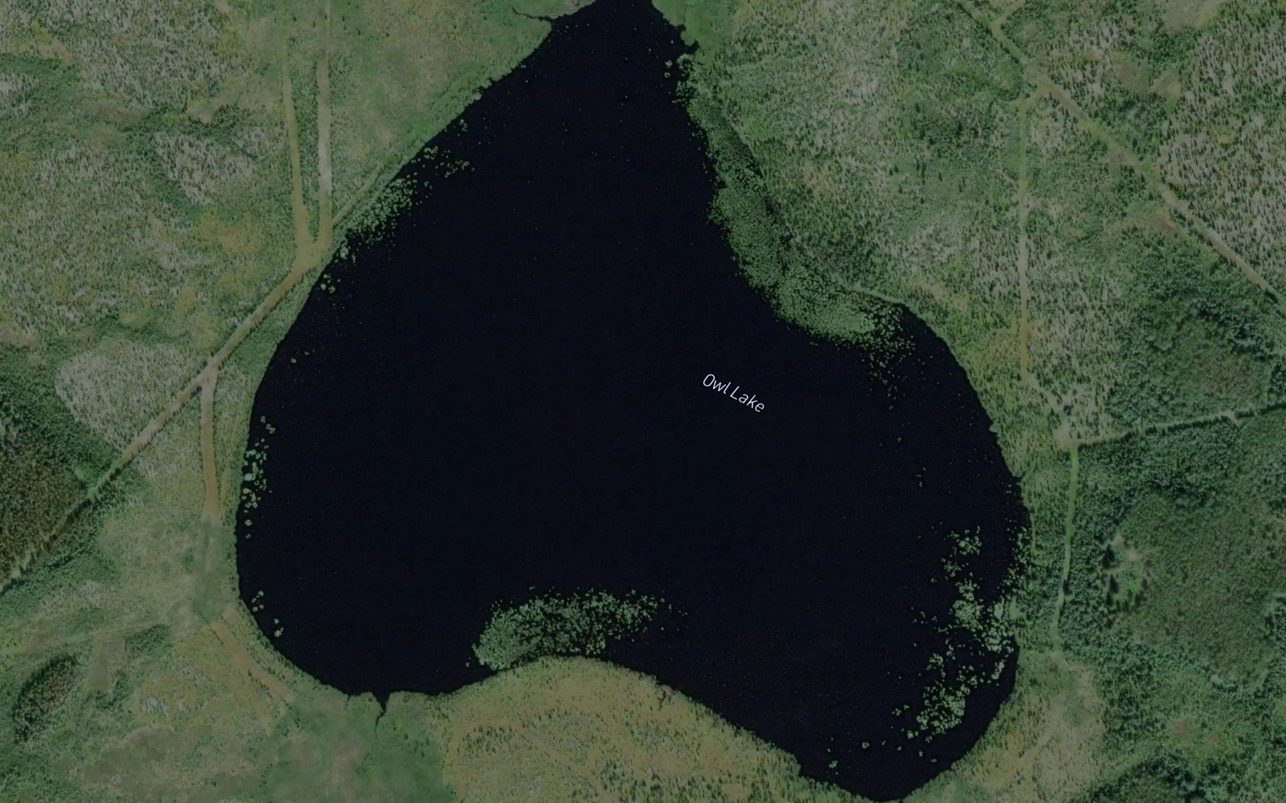 Owl Lake