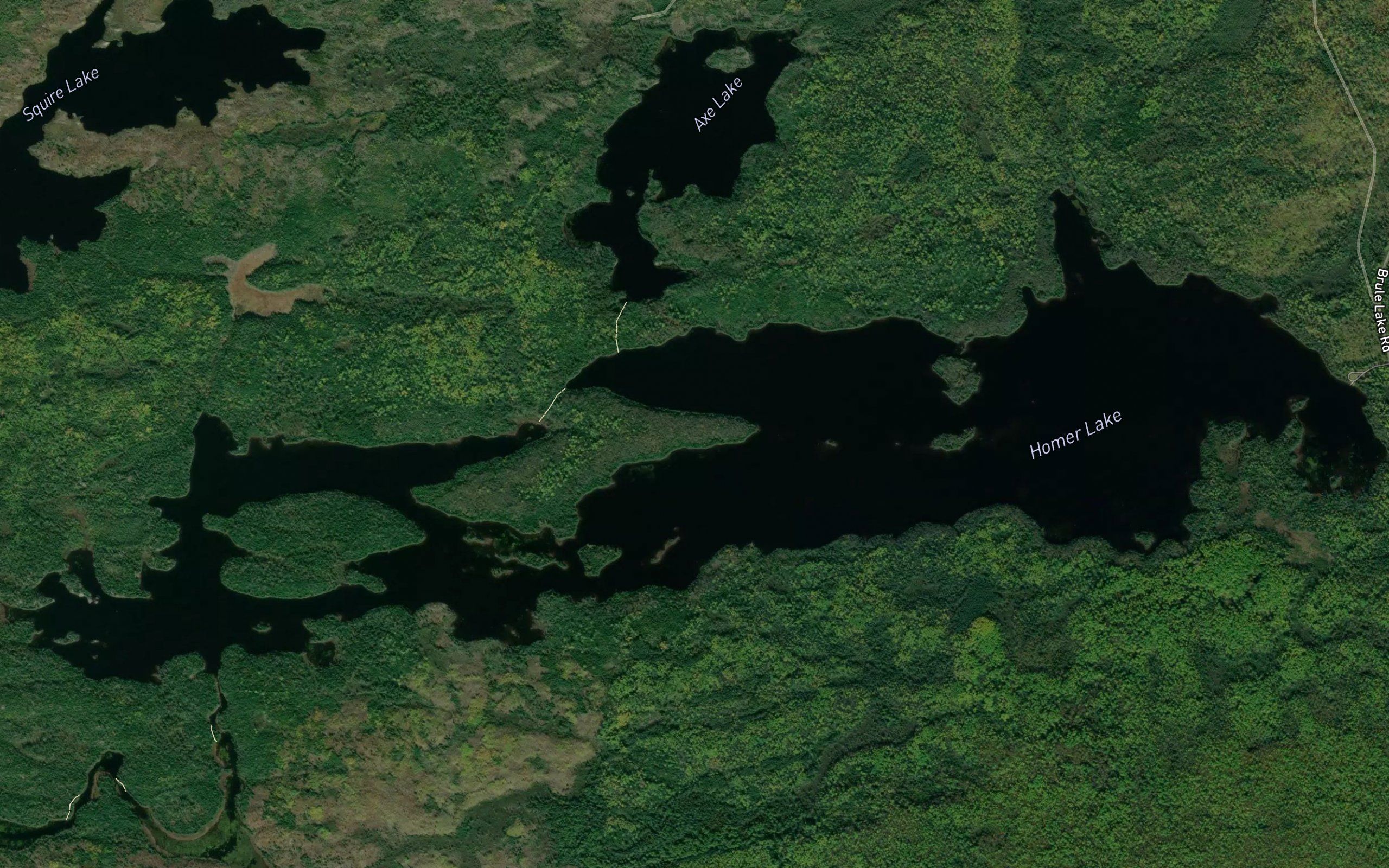 Homer Lake