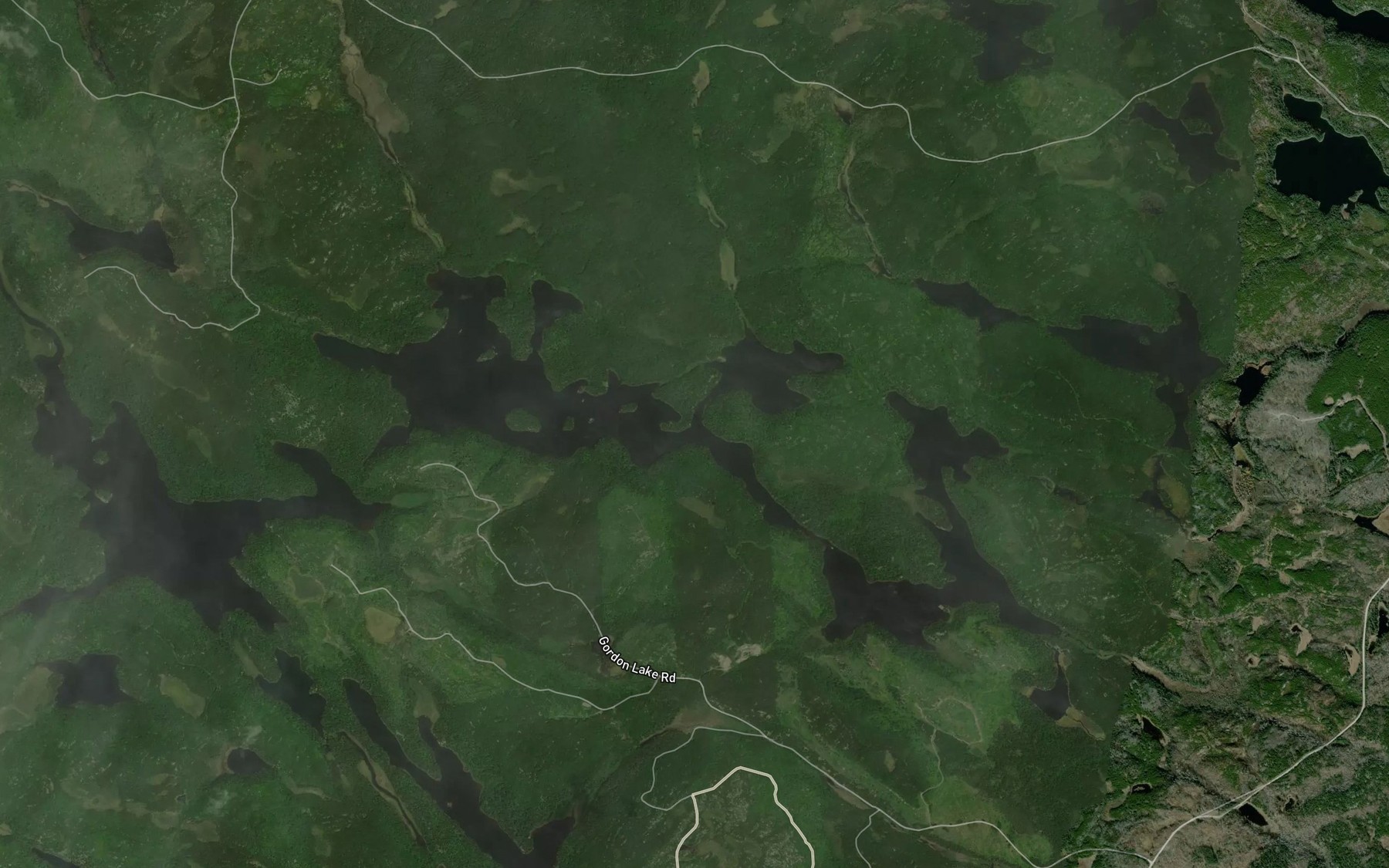 Satellite map of the Gordon Lake