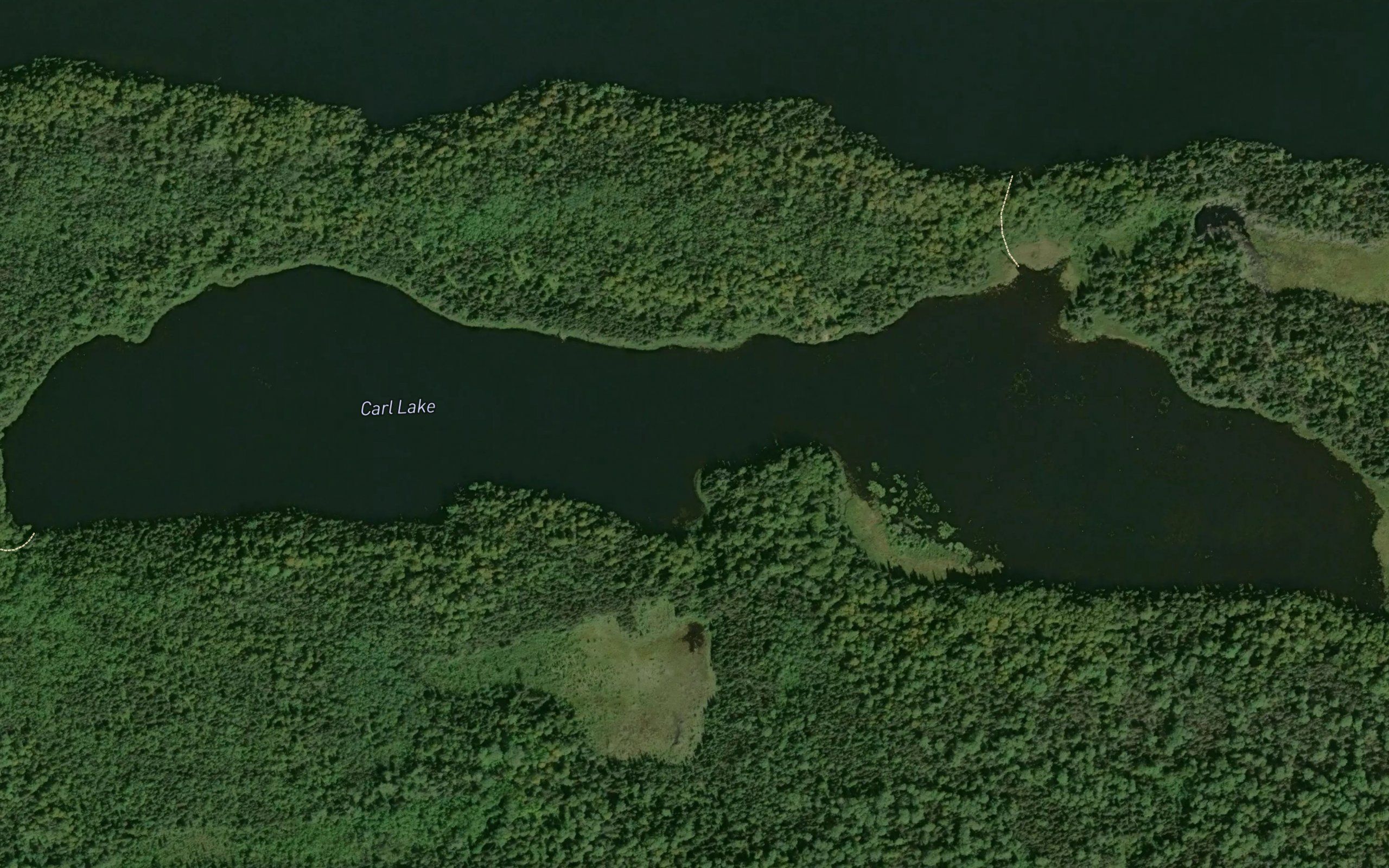 Carl Lake