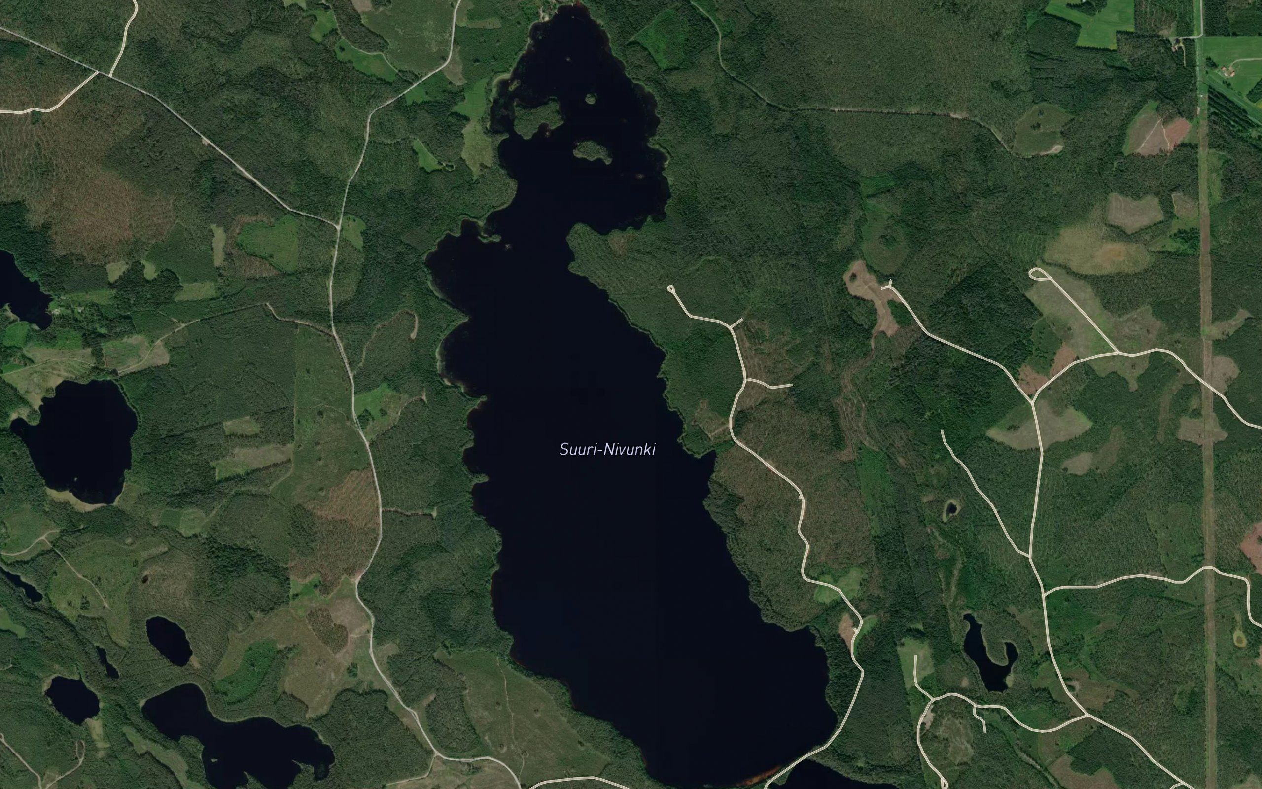 Suuri Nivunki