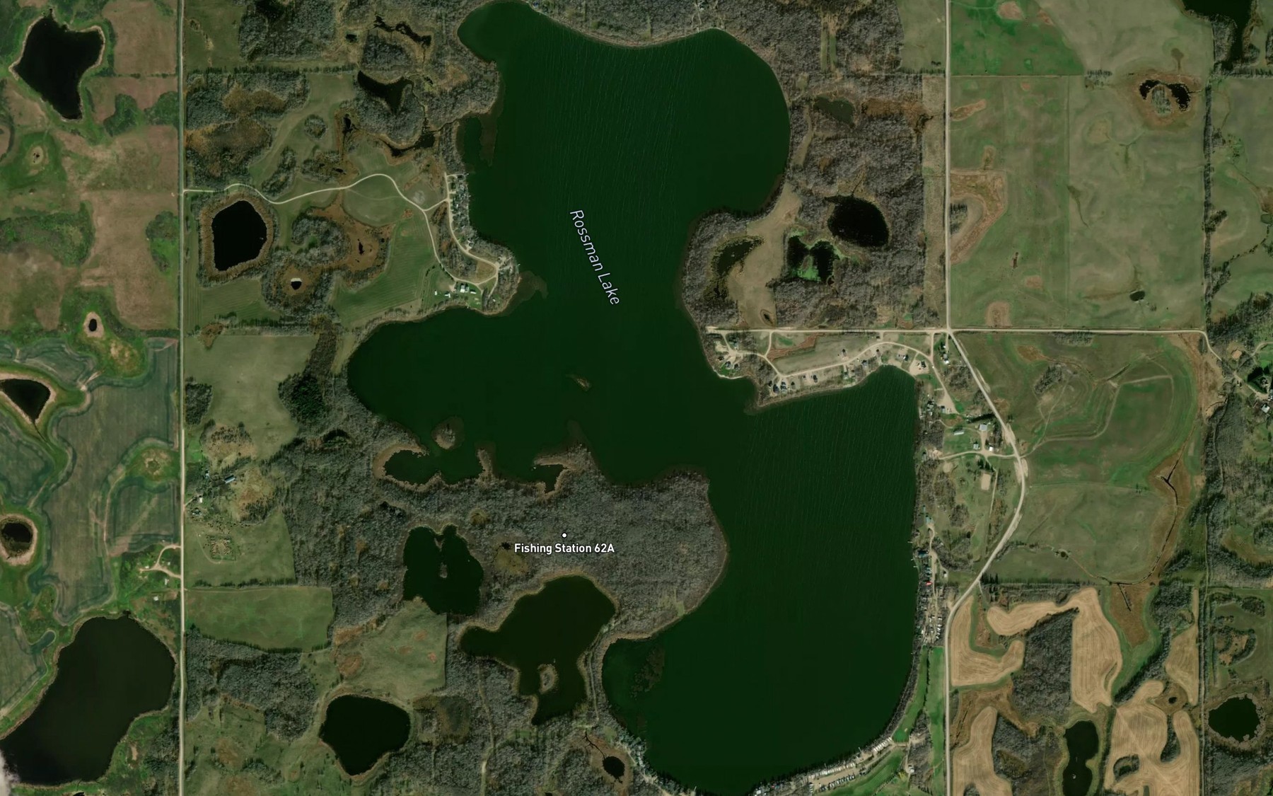 Satellite map of the Rossman Lake