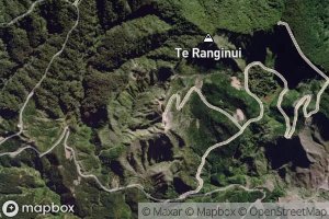 Satellite map of the Te Kahika Stream
