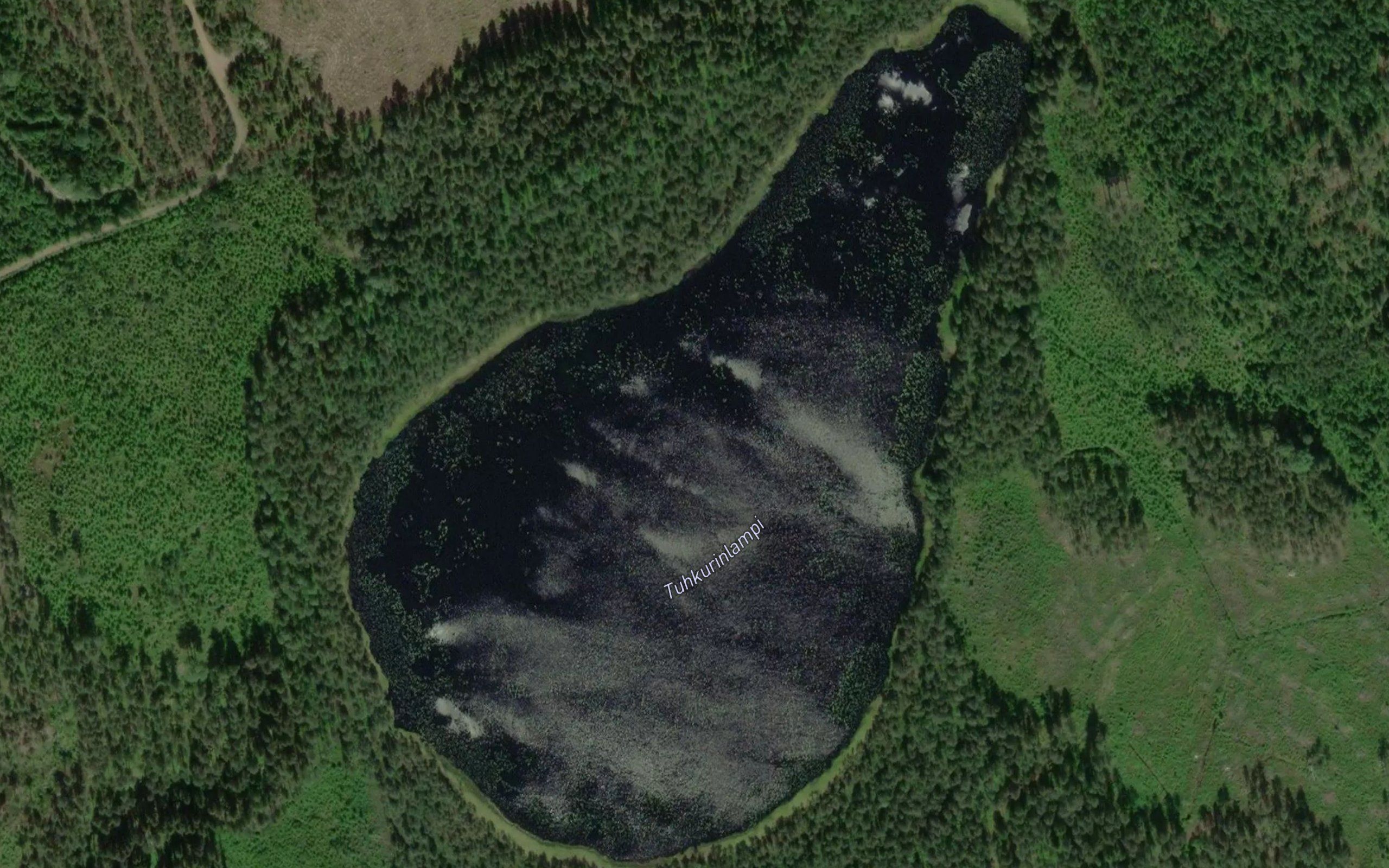 Tuhkurinlampi