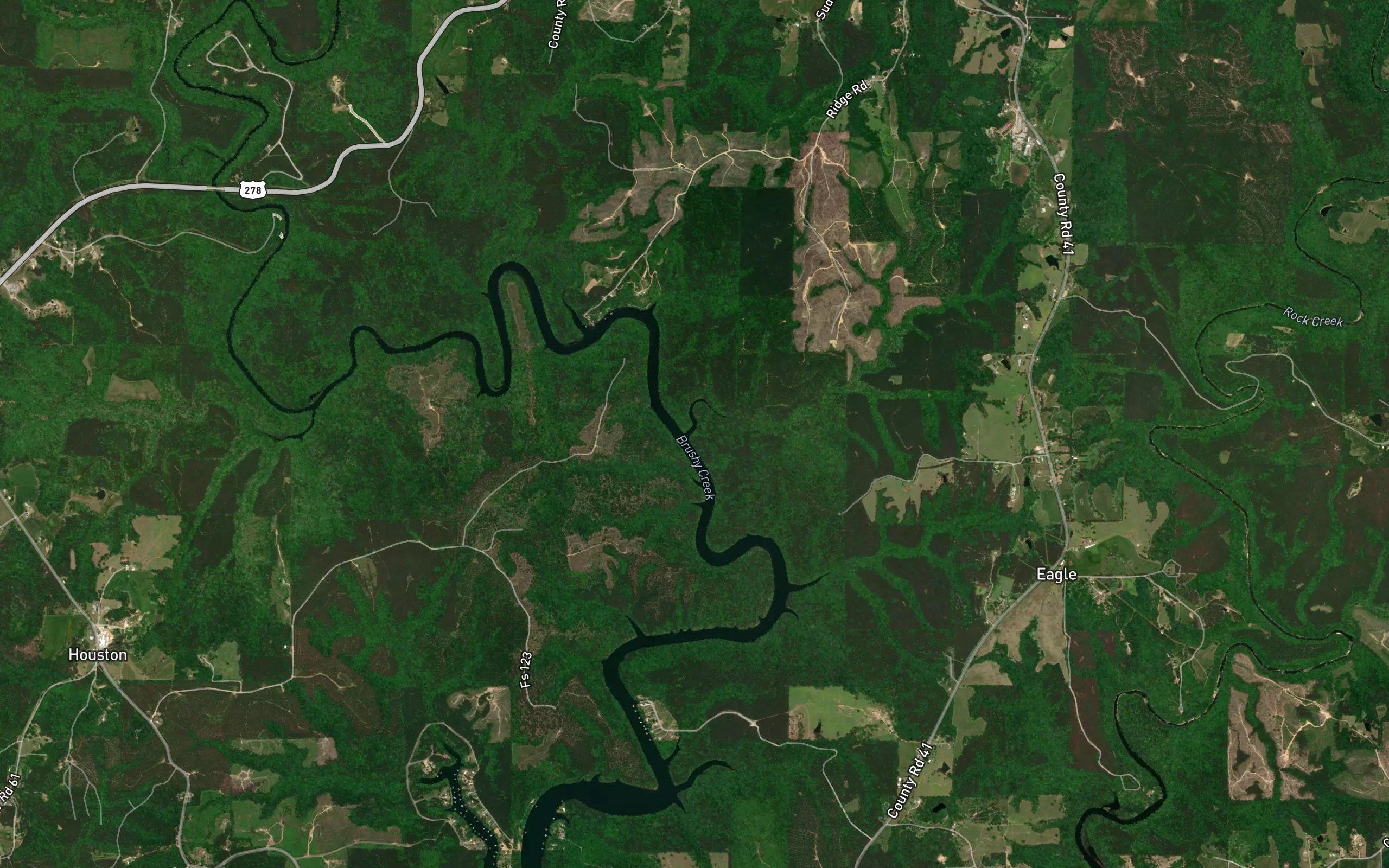 Burns Branch