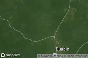 Buadua